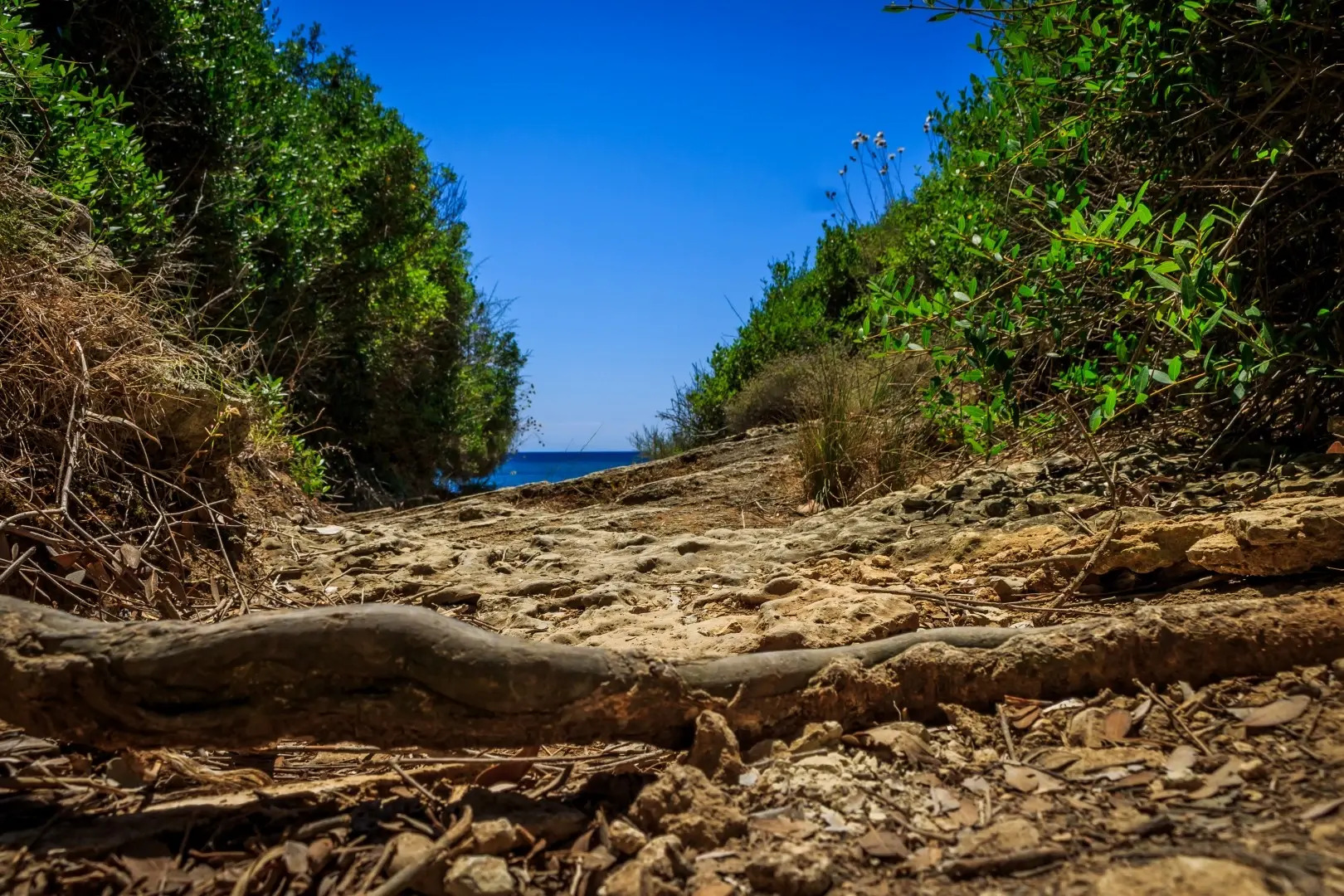 Porto Gerakas Villas & Apartments