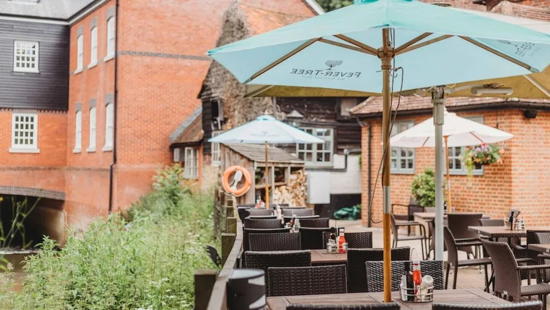 The Stag on the River