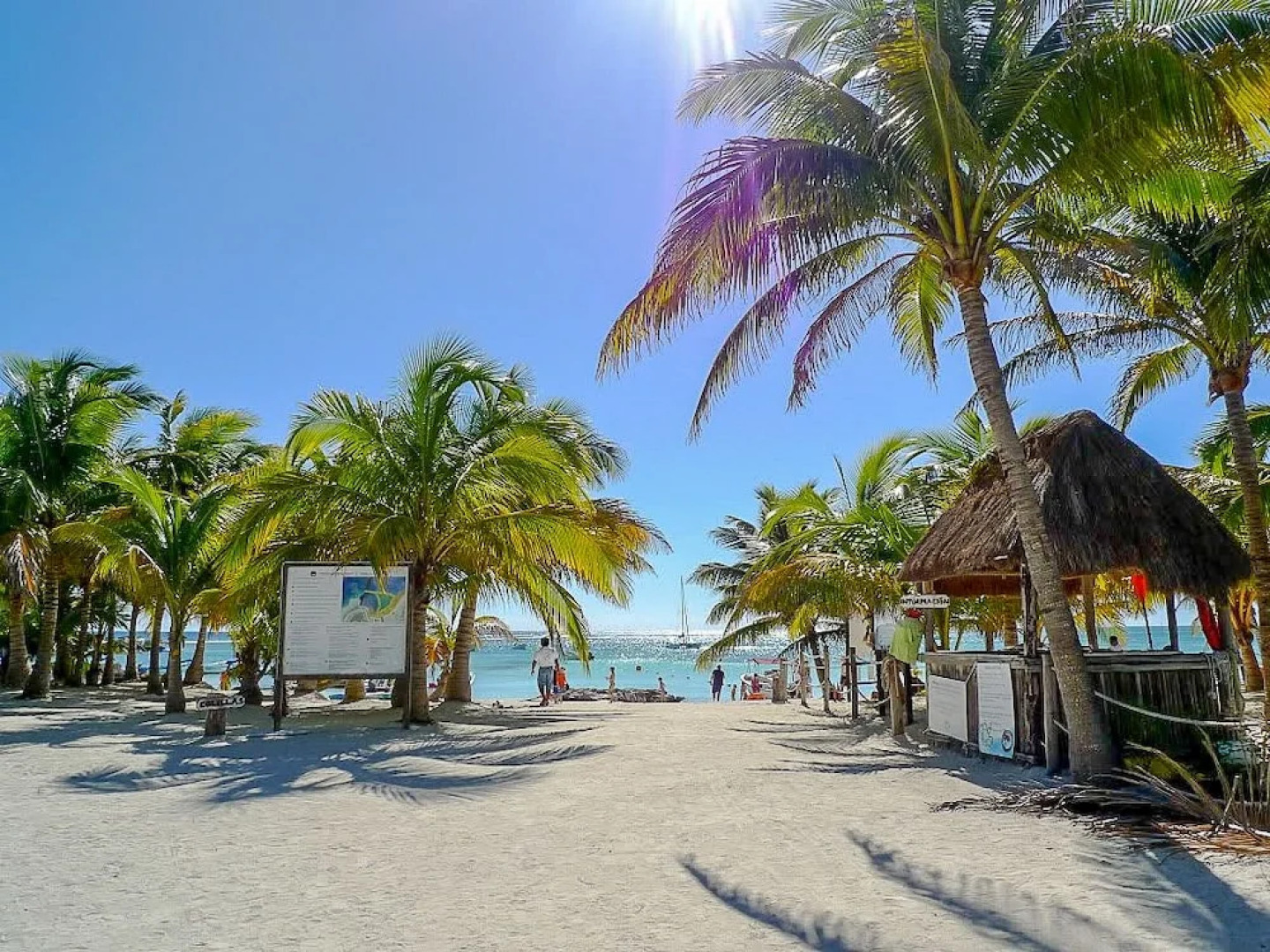 Casa Ave, Luxury & Resort Living