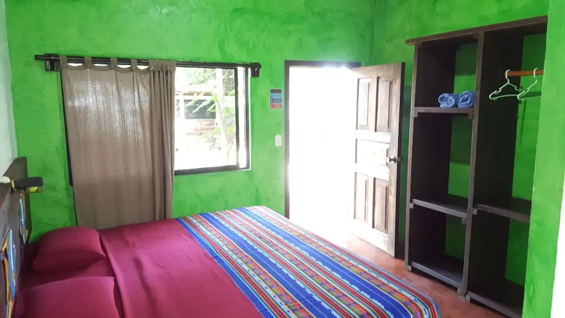 Galapagos Morning Glory