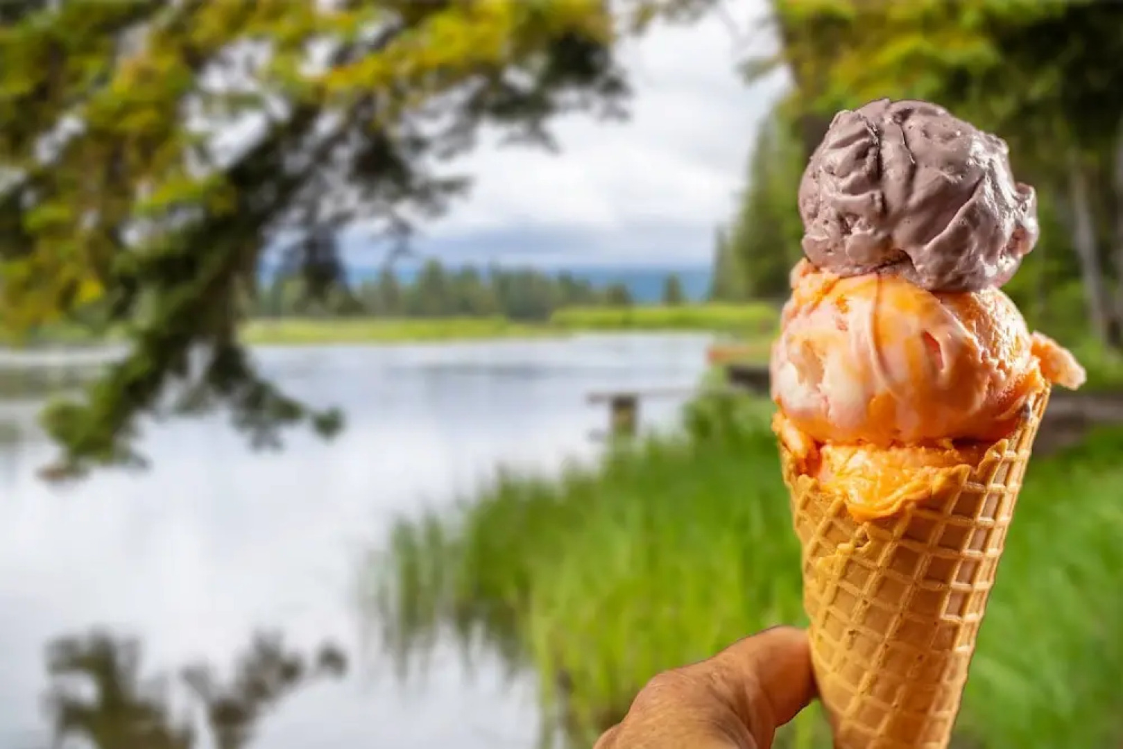 SpringHill Suites by Marriott Island Park Yellowstone