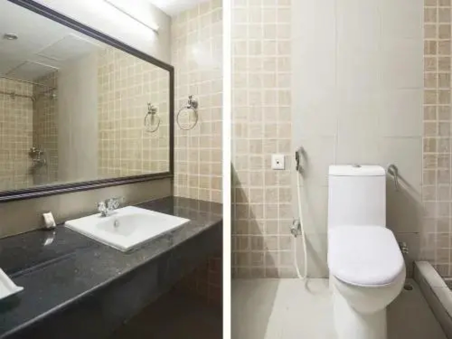 OYO 15149 Hotel Ajoy Minar