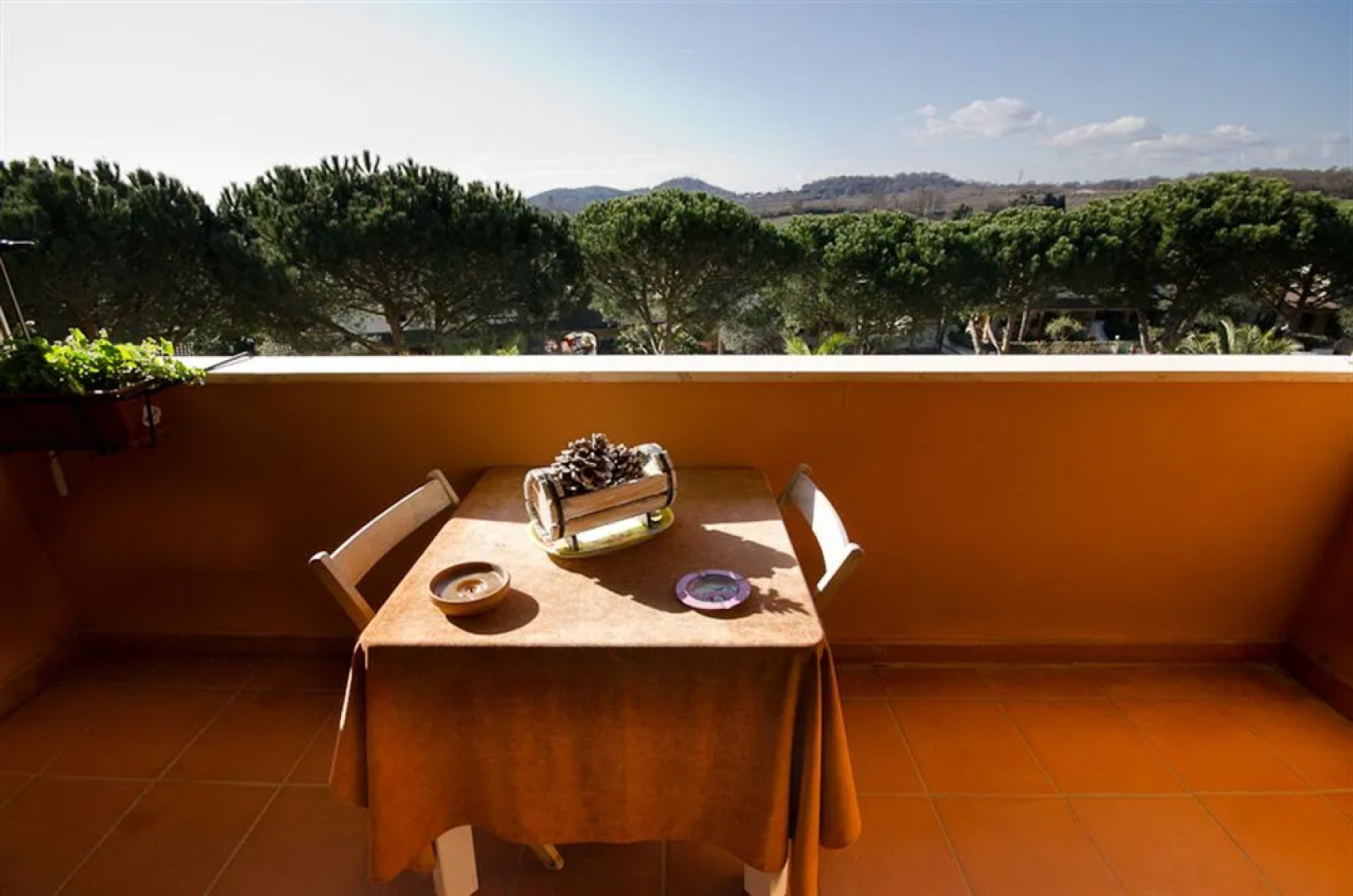 Bracciano Dreams Home