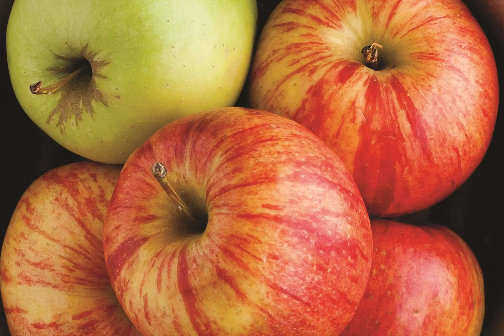 Quality Inn & Suites Silverthorne - Copper Mountain