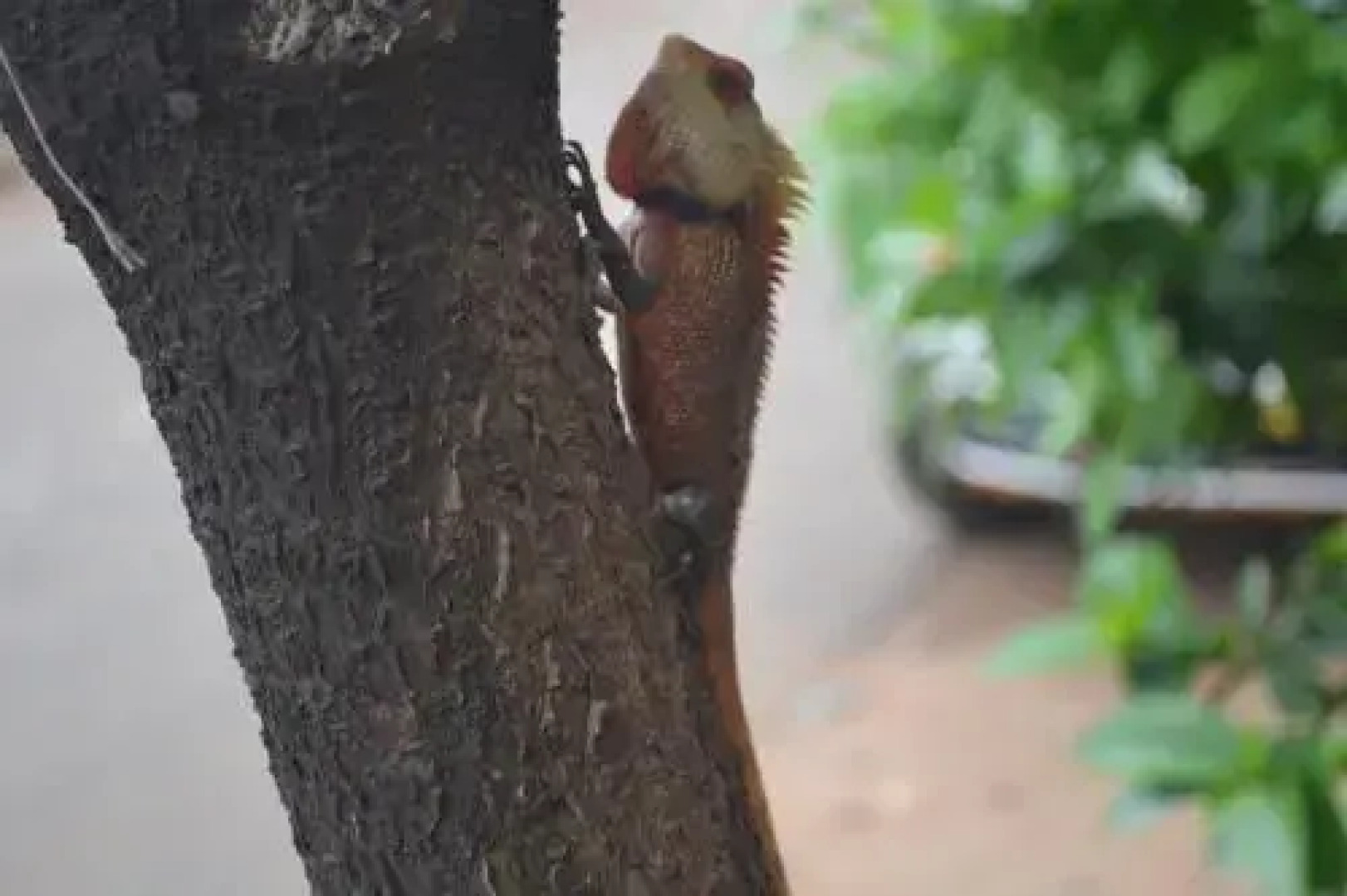 Sun Temple Hotel, Konark