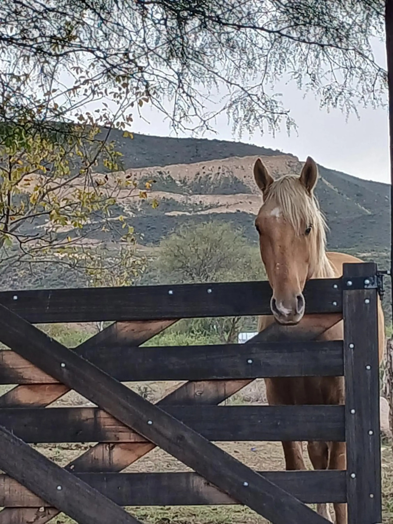 Cuesta de san miguel