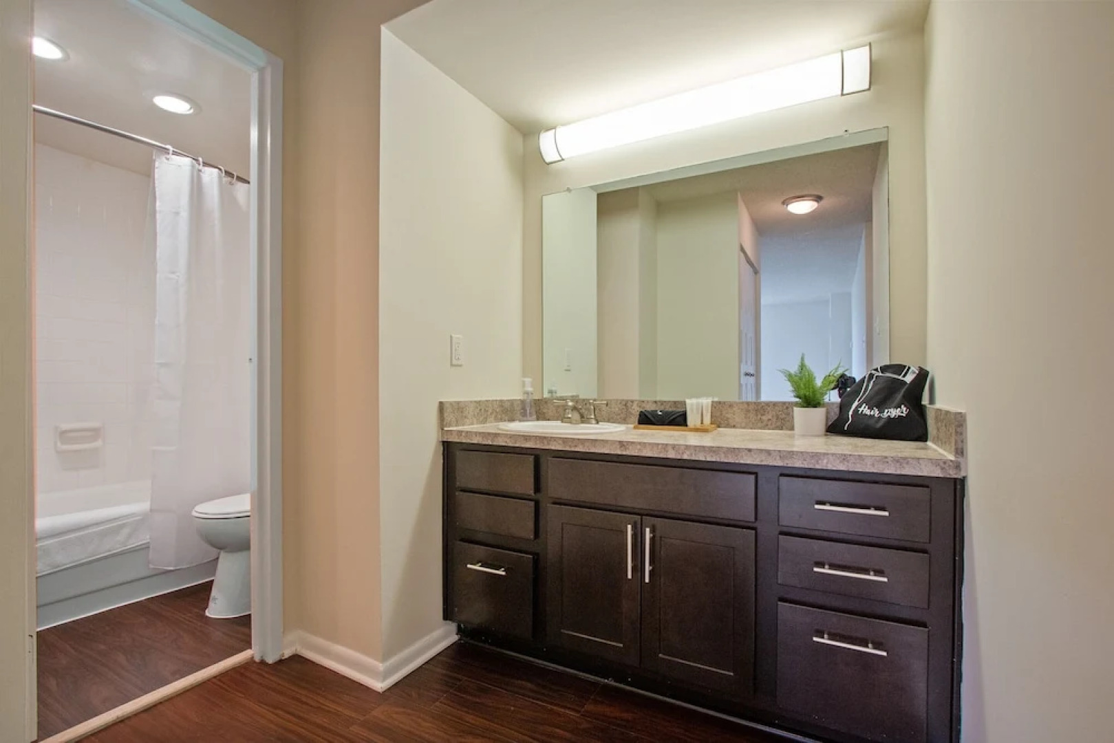 The Beautiful Alexandria Suites