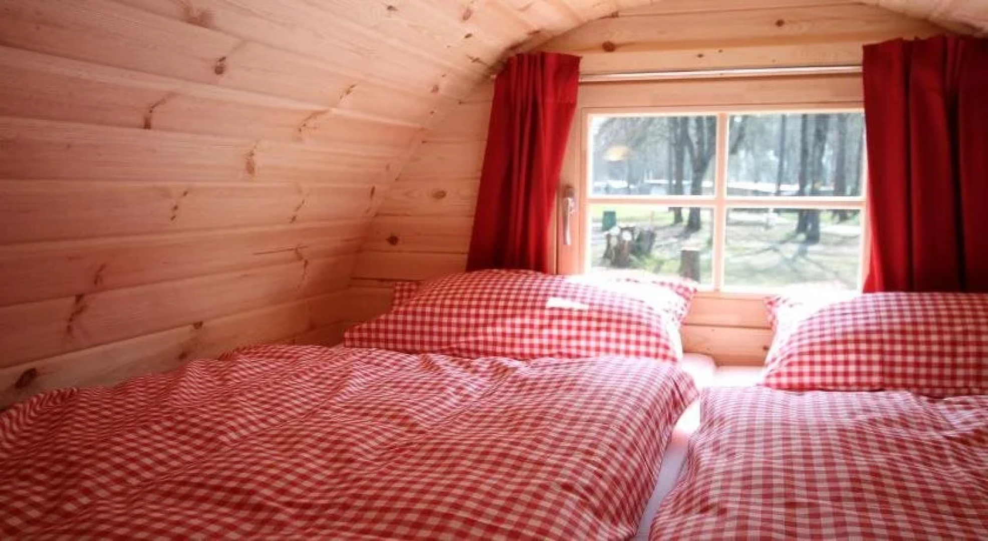 AZUR Waldcamping Auwaldsee