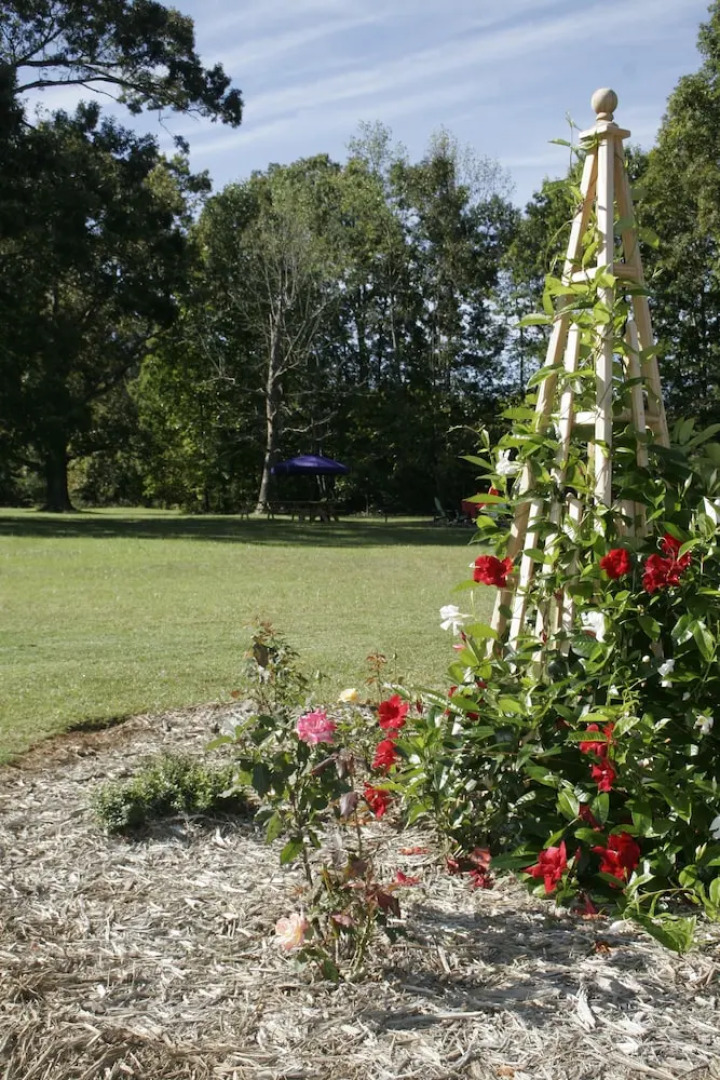 Seven Oaks Bed & Breakfast