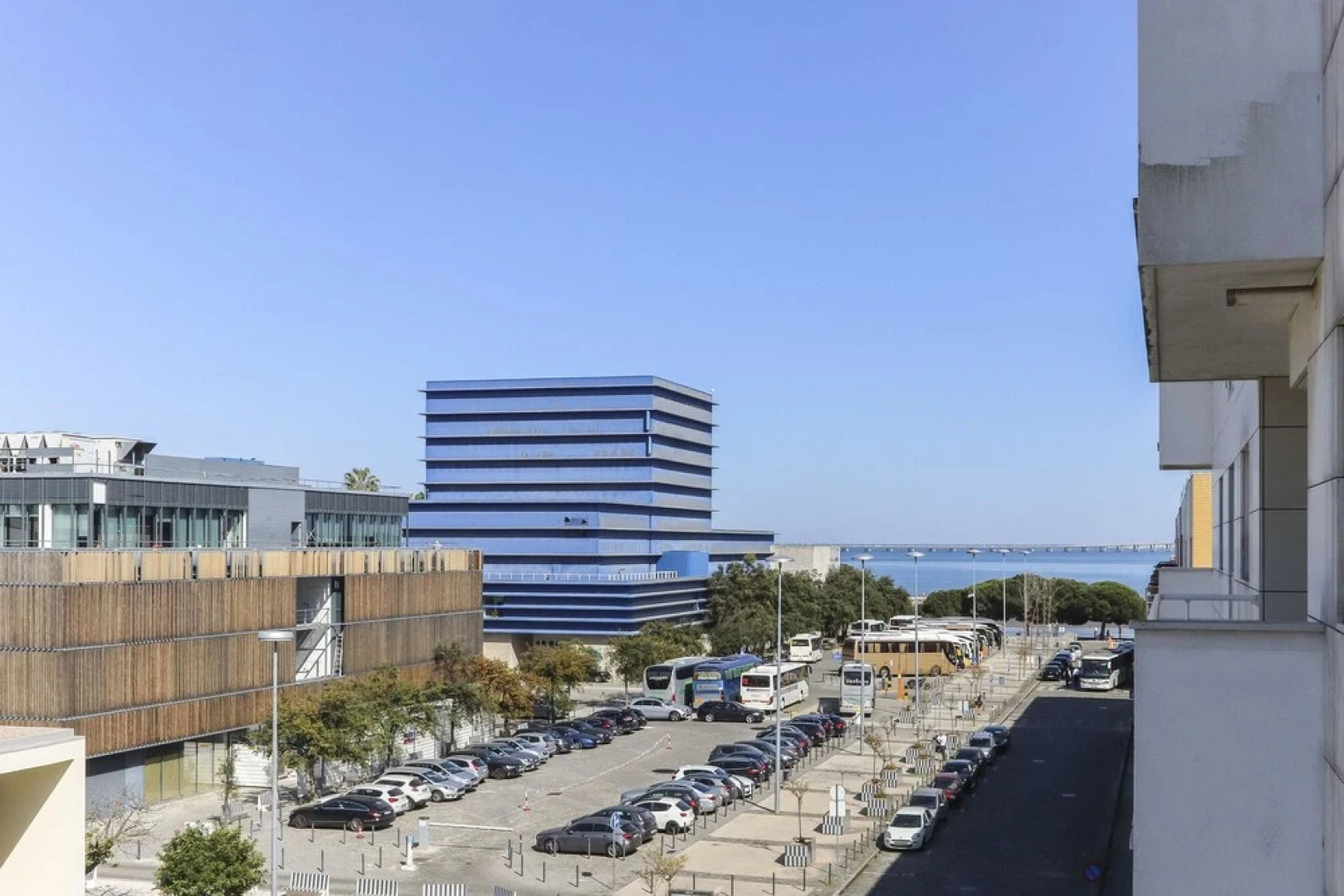 Expo Delight by Homing