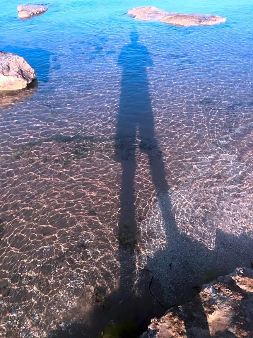 Fiori Gialli Caucana