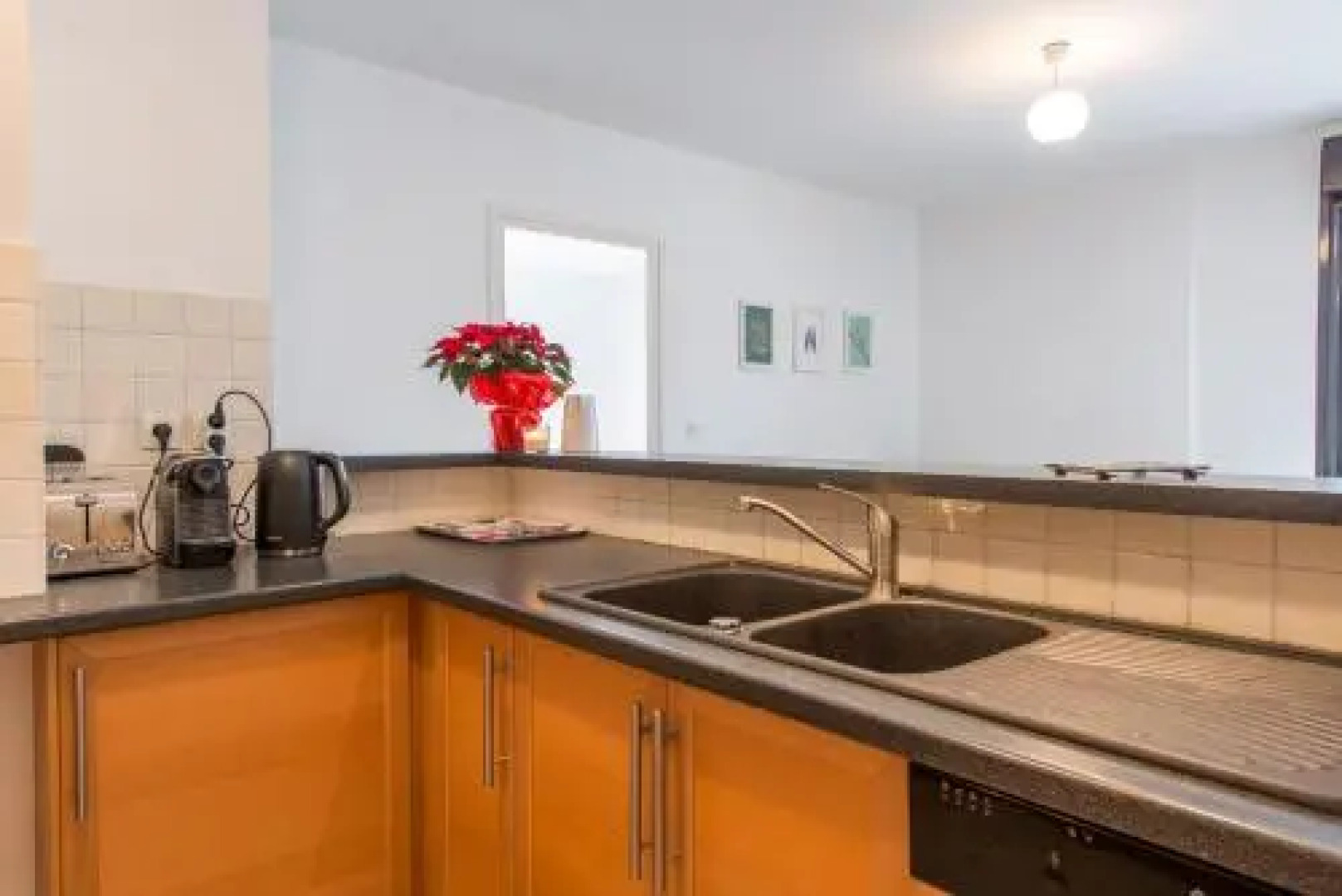 Les Libellules- Rez de Lac, Accès Direct Privatif