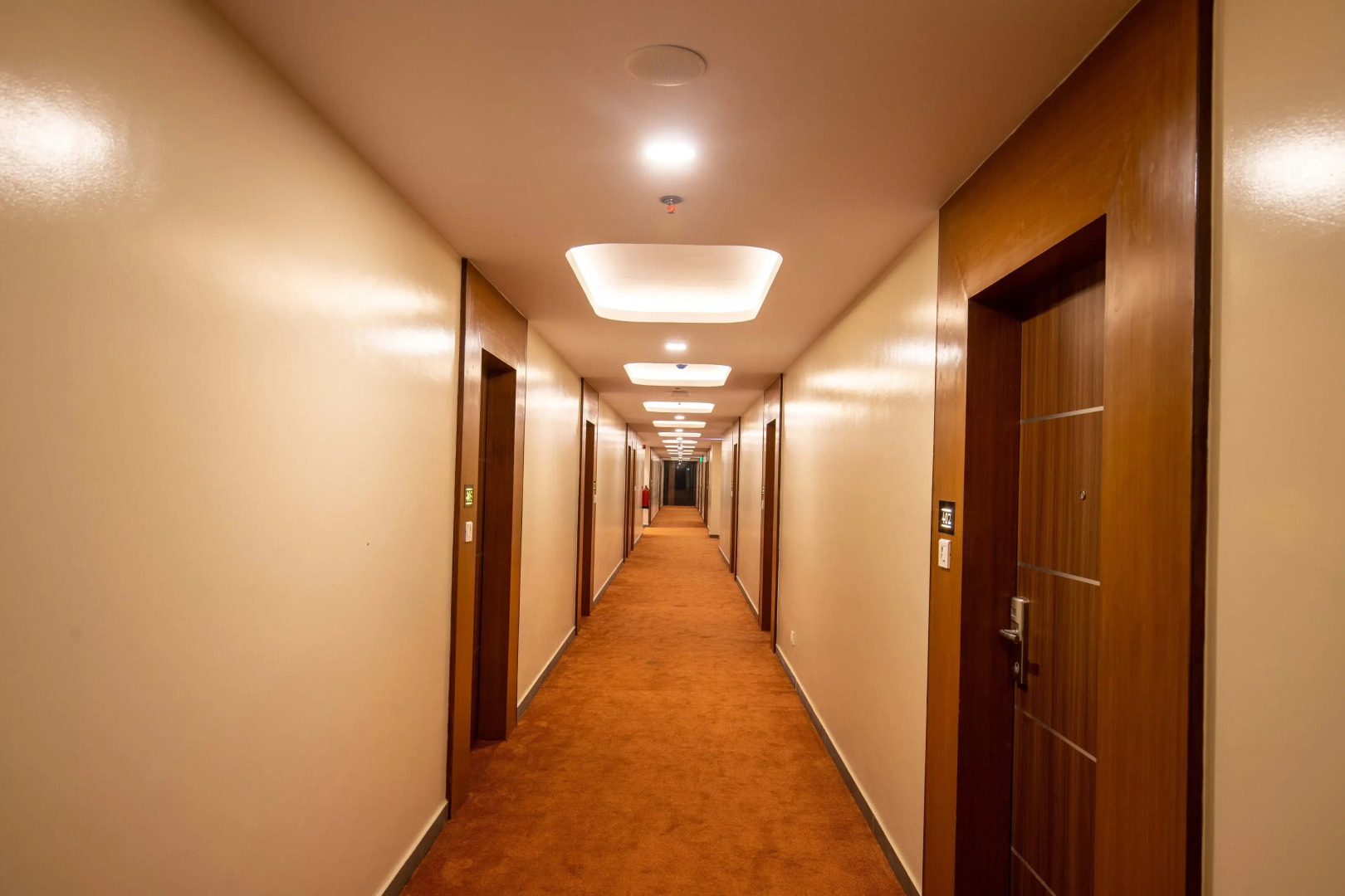 Hotel Palm International