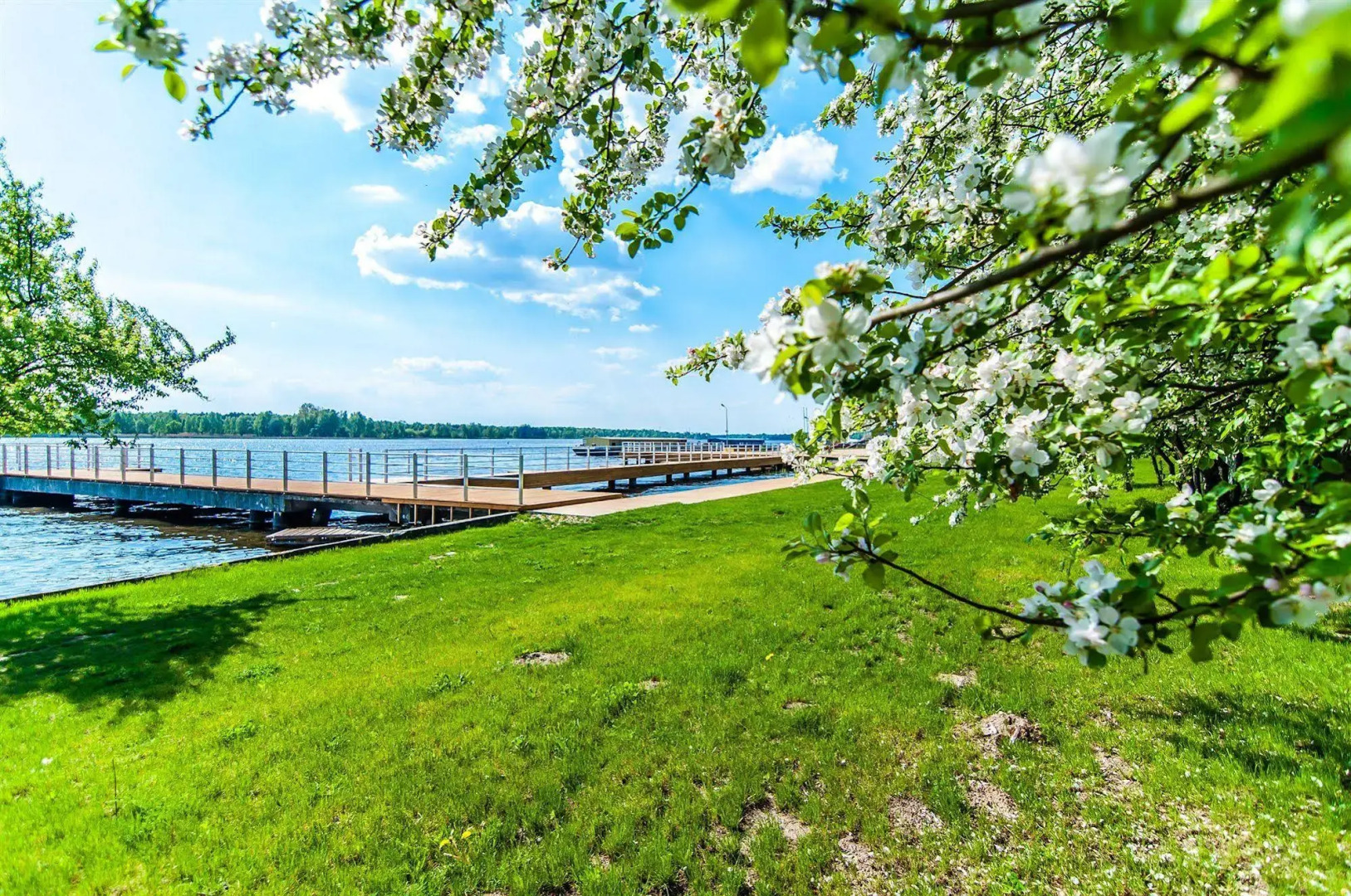 Windsor Palace Hotel