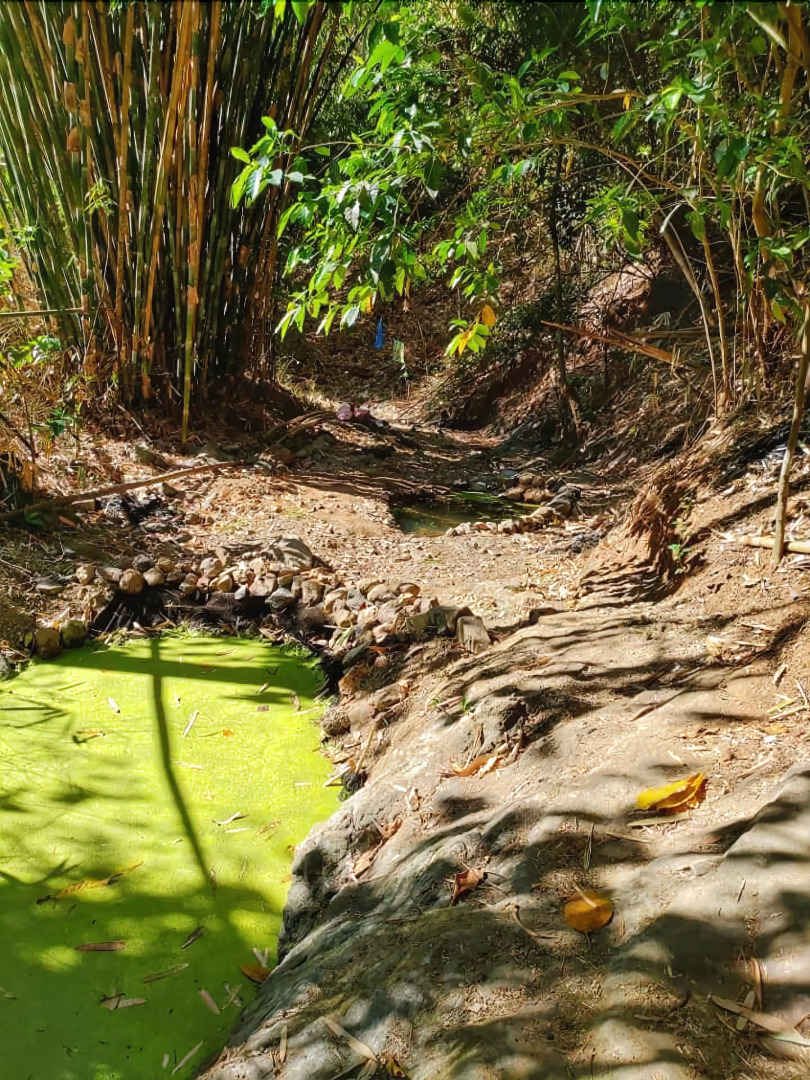 Singalong Nature Camphill Site