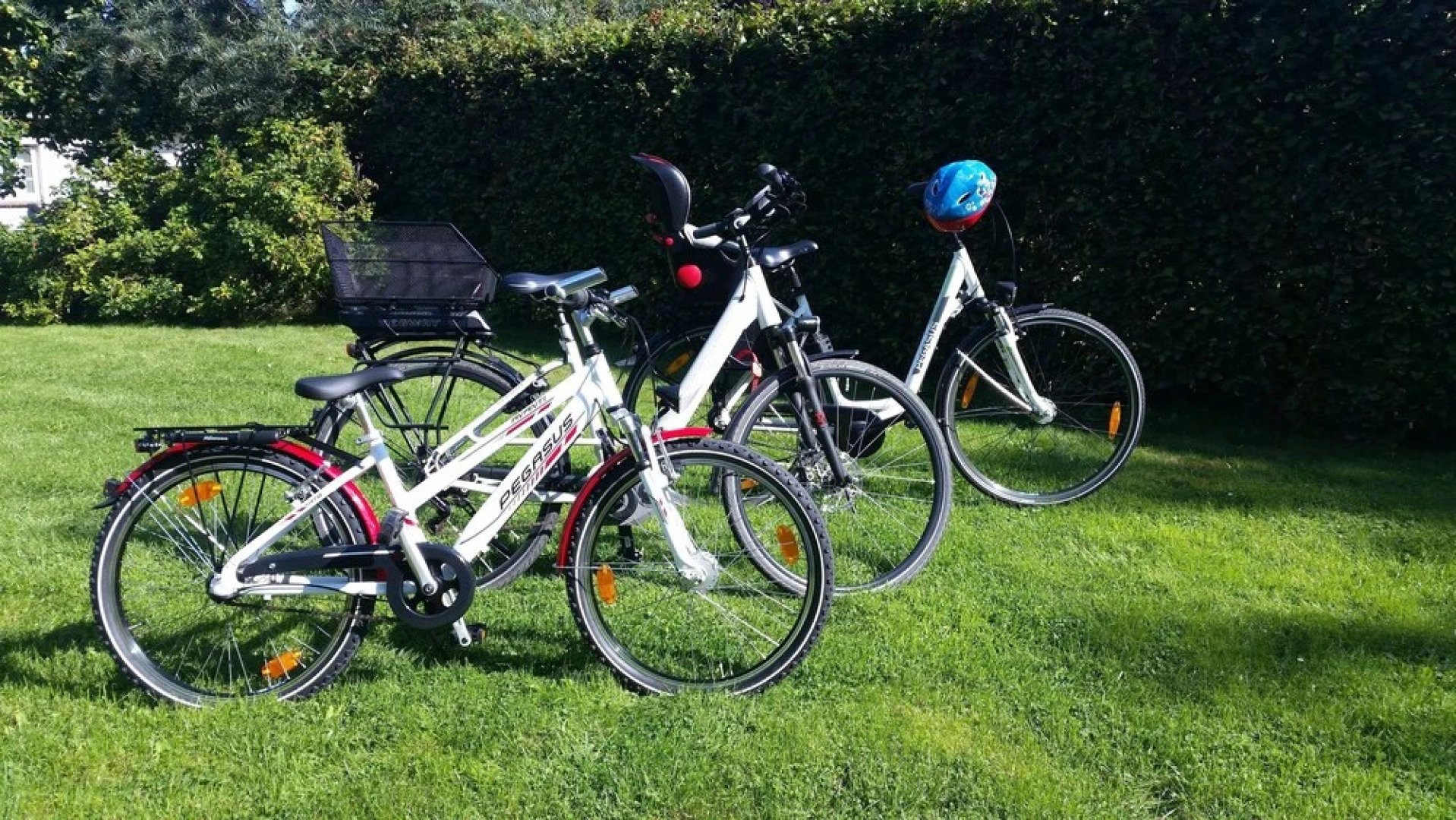 Ferienhaus Auf der Düne