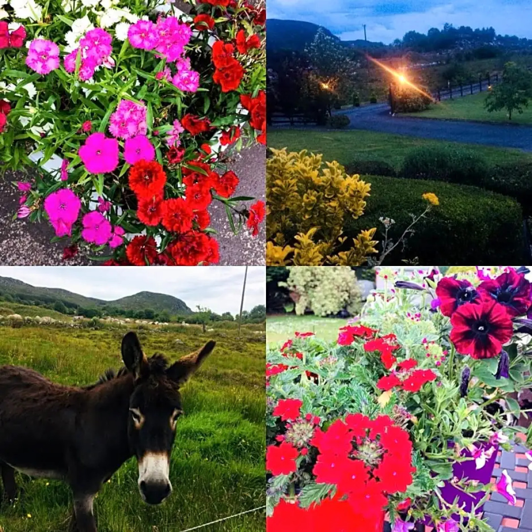 Hillcrest farmhouse Bed & Breakfast