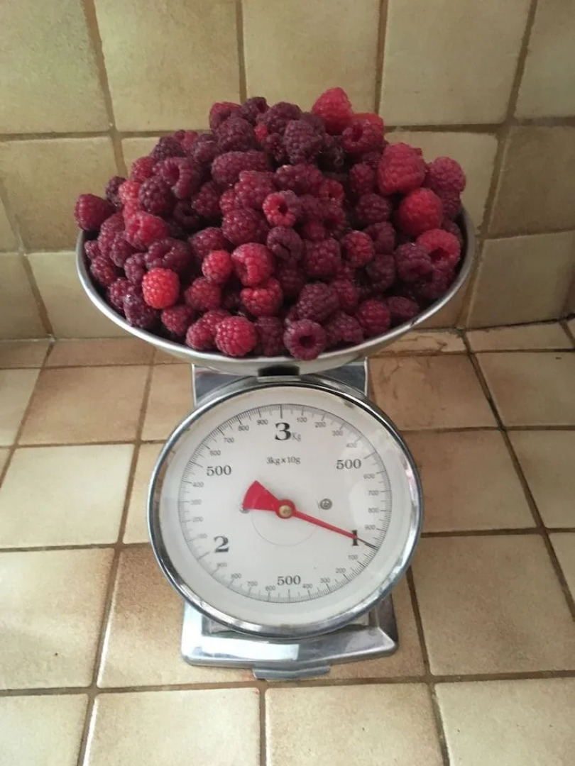 Chez Fred et Cécile