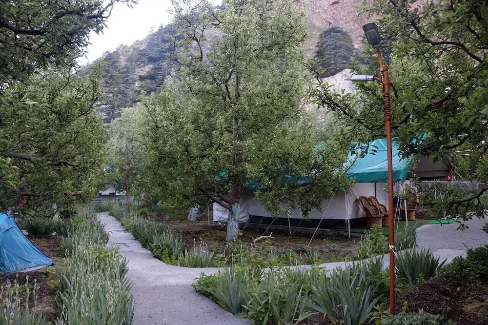 Apple Orchard Farm and Camping