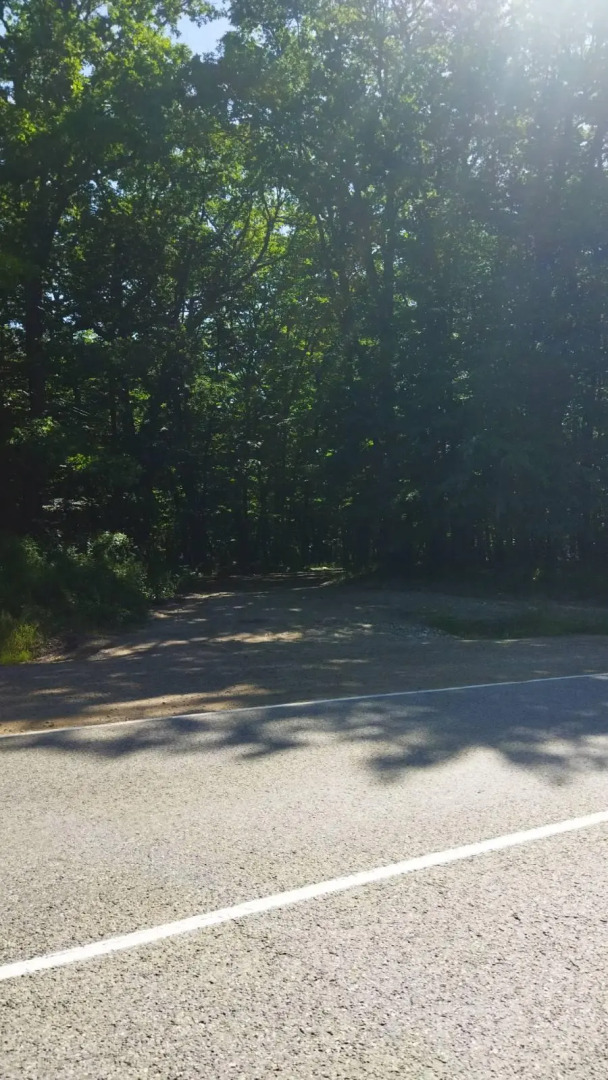 Парк Южного Периода