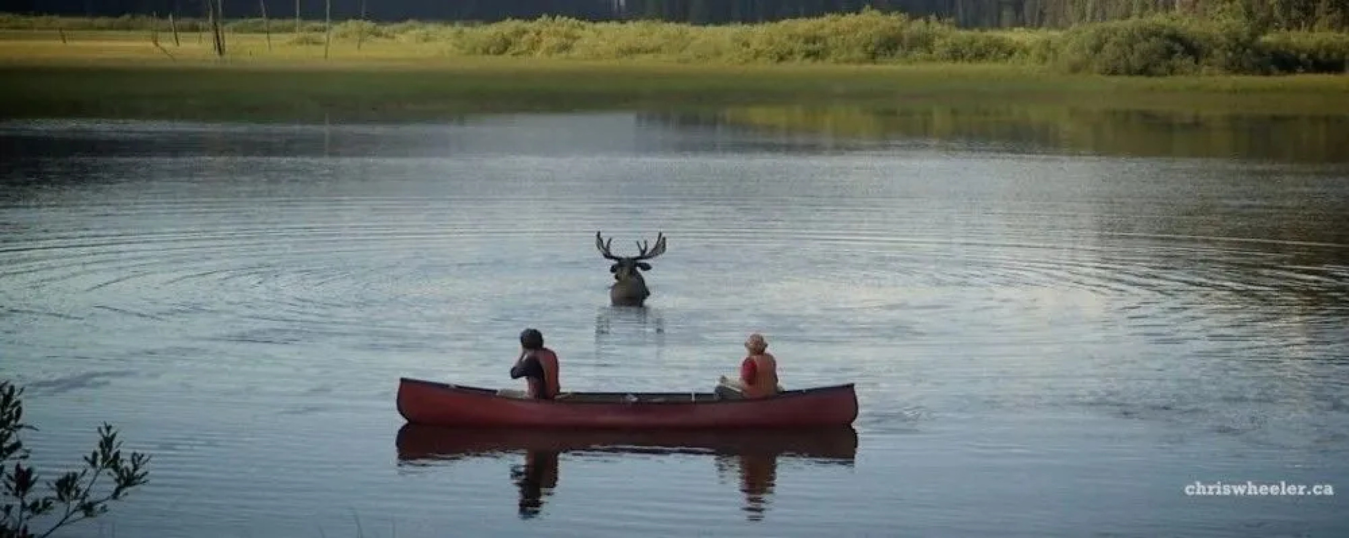 Mountain Thyme Getaway