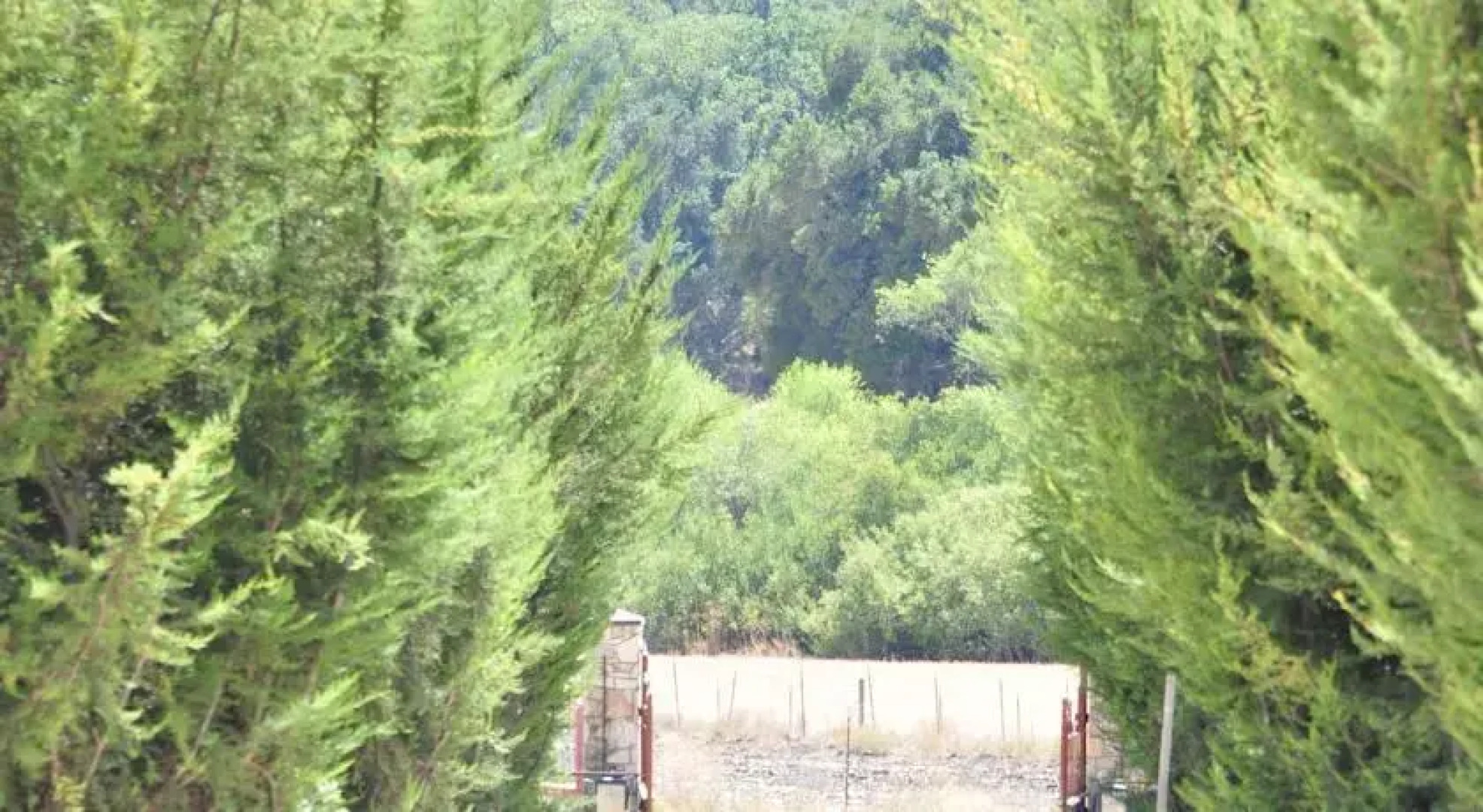 Villa Vino at Poalillo Vineyards