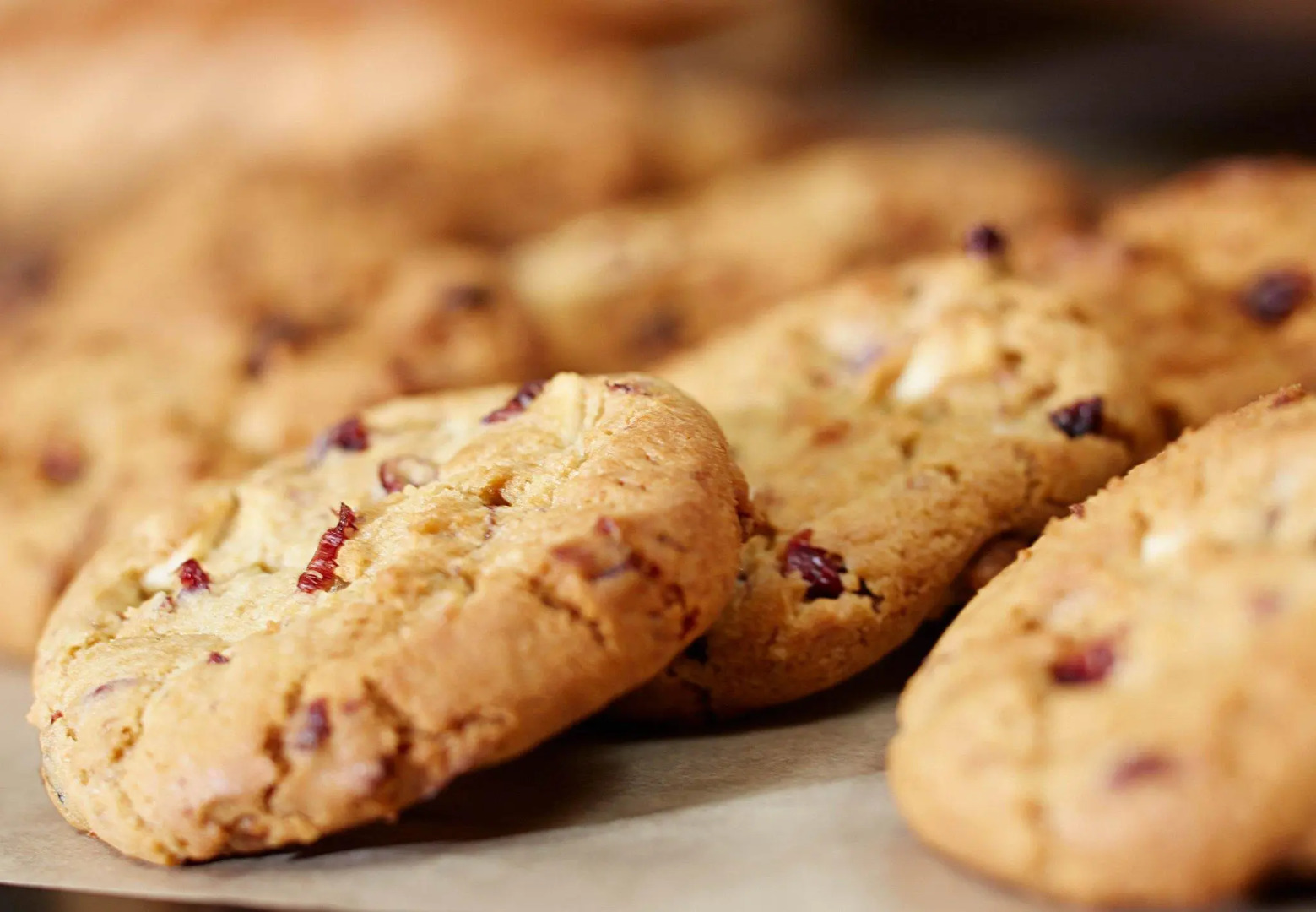 Marriott Cincinnati Airport