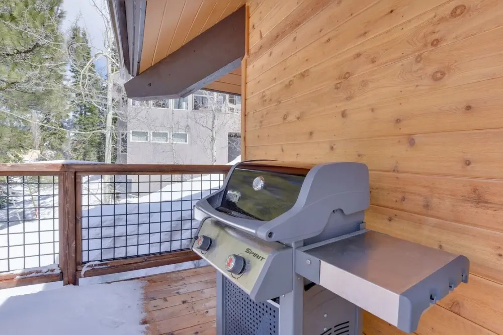 Contemporary Snow Crest