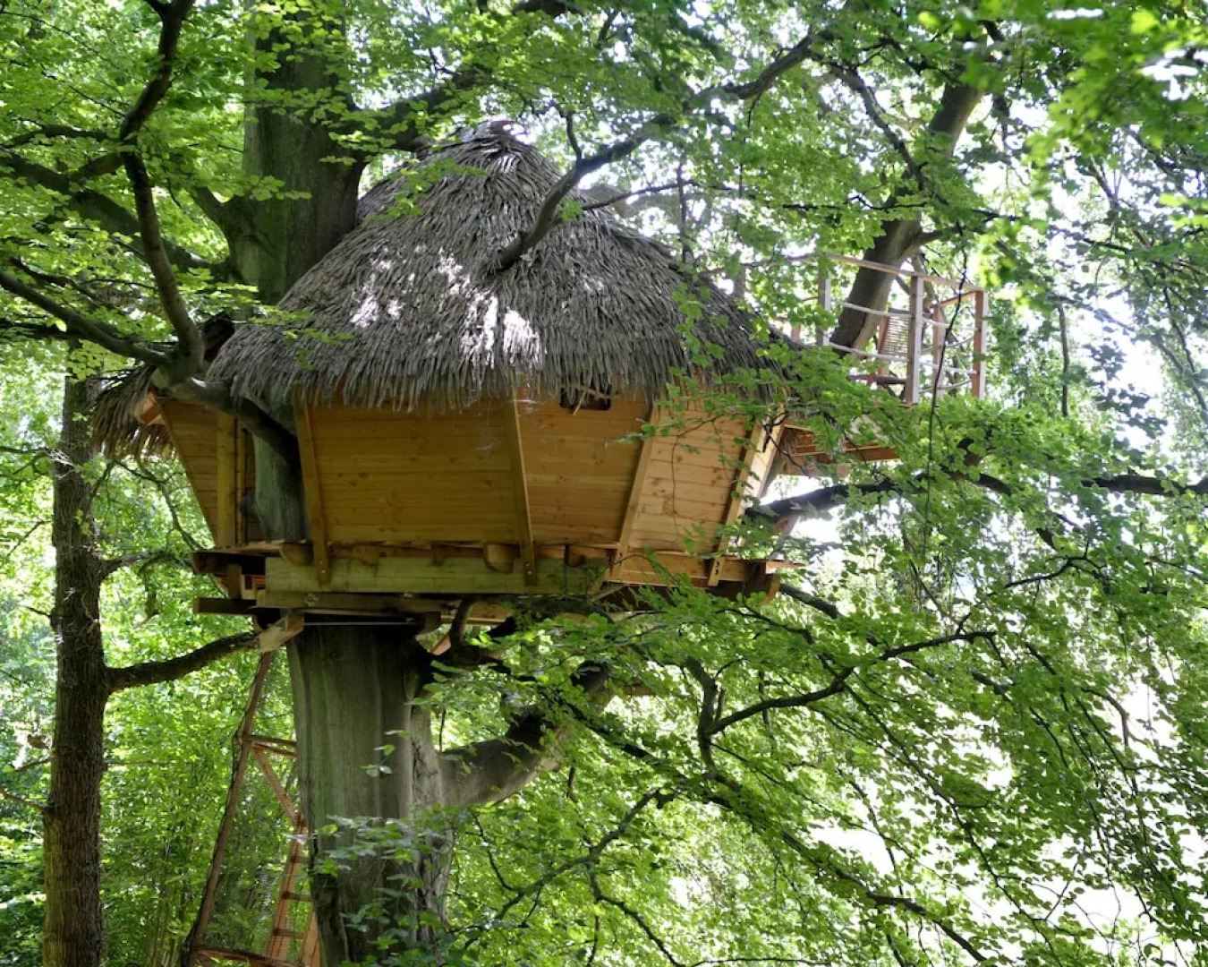 Les Cabanes De Fontaine