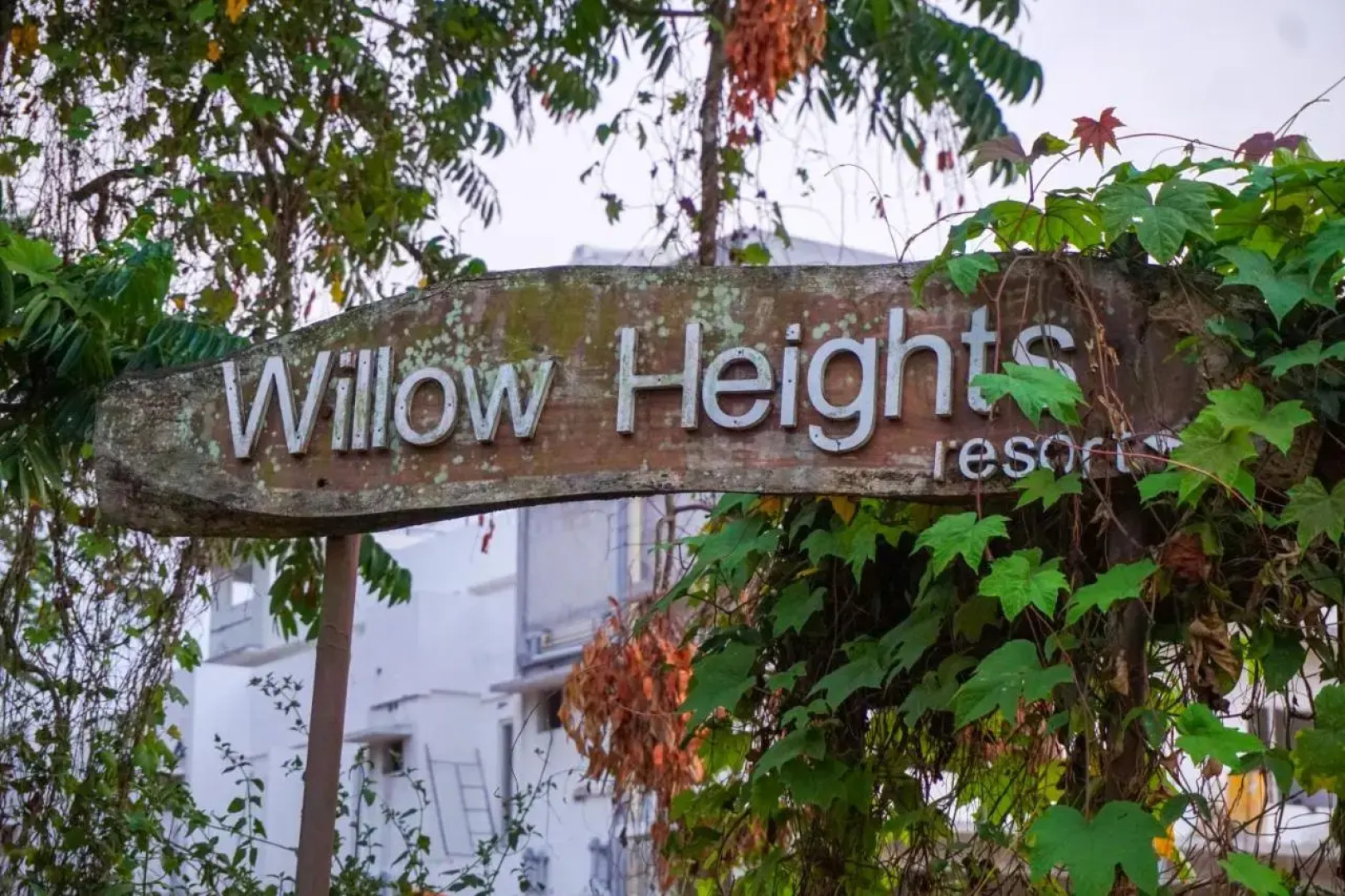 Willow Heights Athirapally