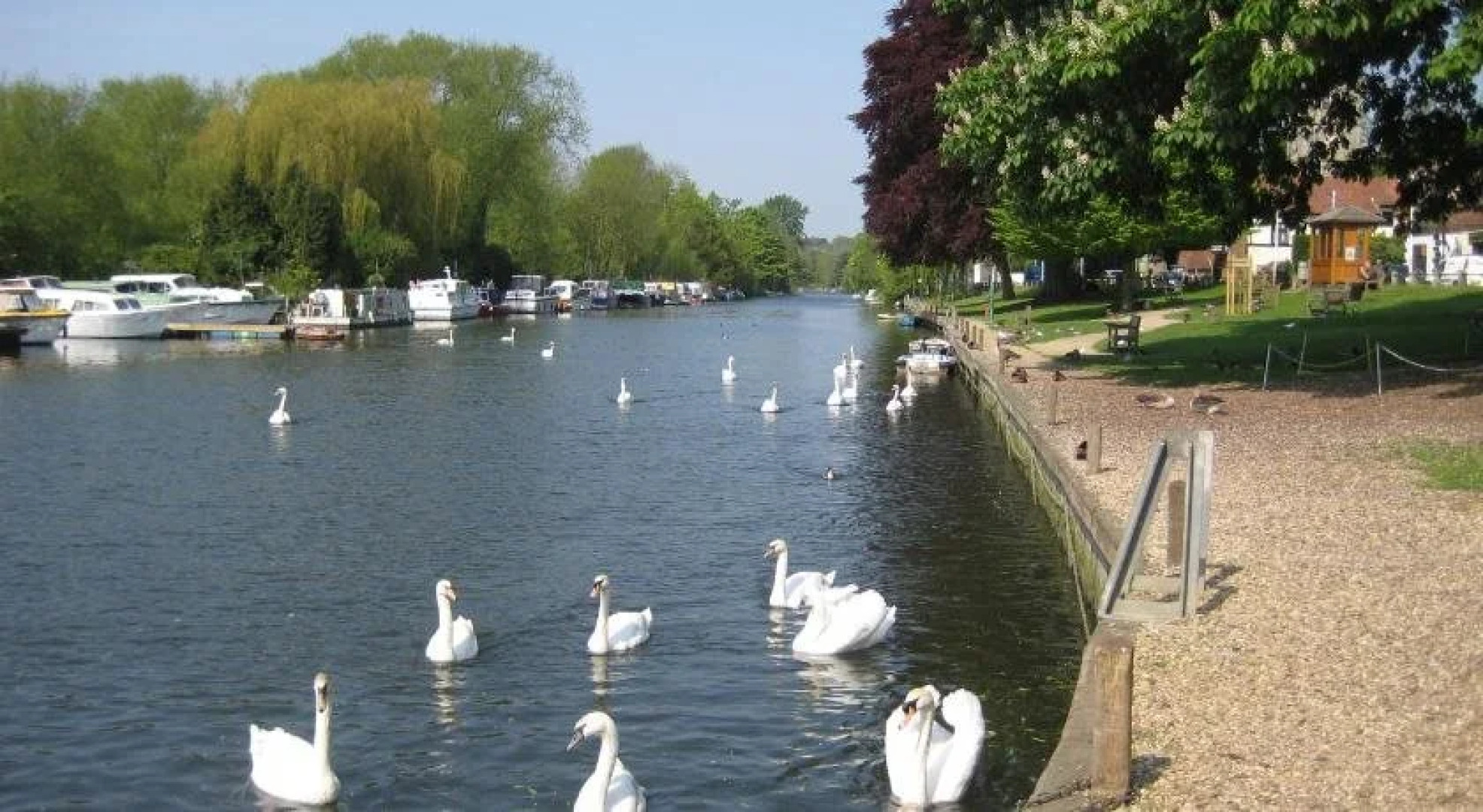 Yew Tree Guest House