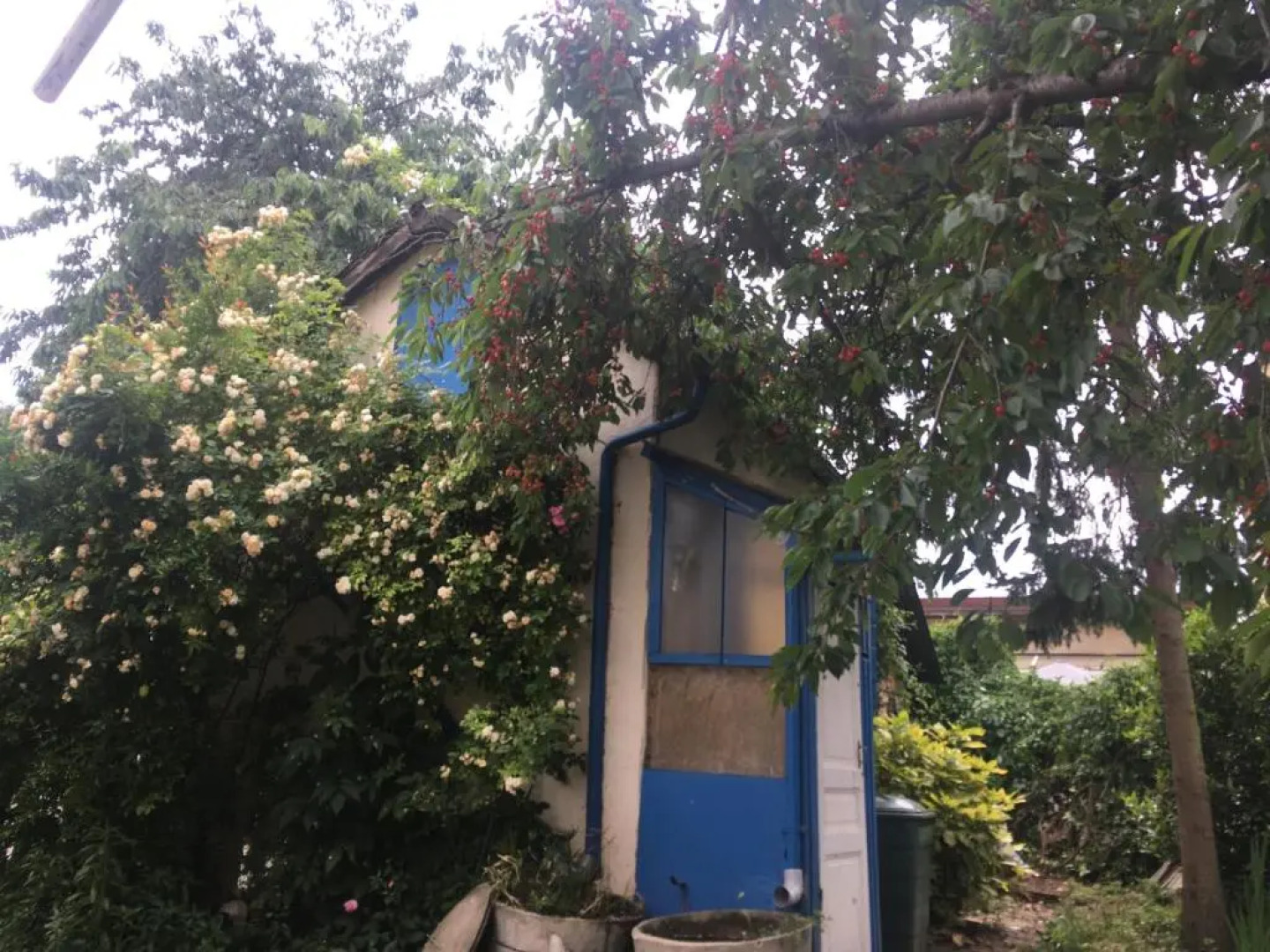 studio maison jardin métro