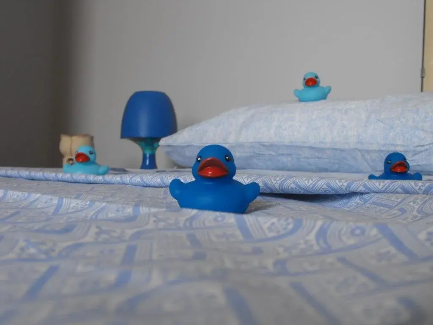 Blu Bed & Breakfast