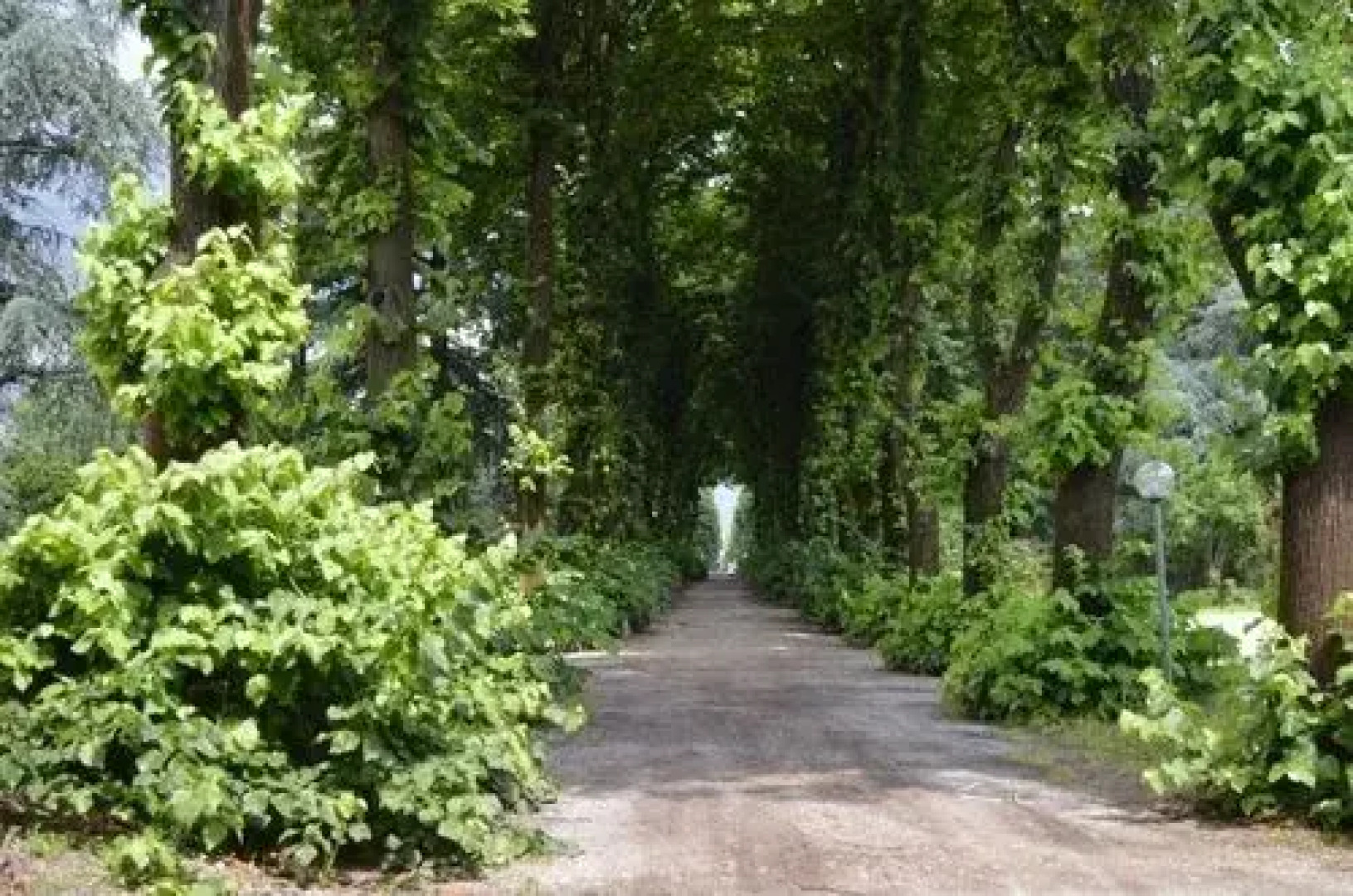 Residence Podere San Marco