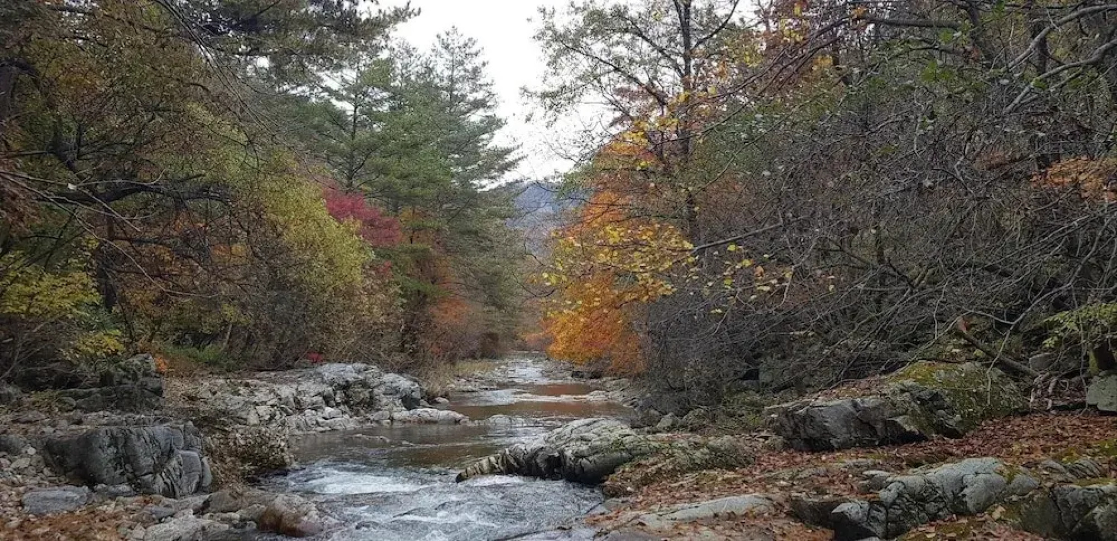 Inje Leenchung Pension