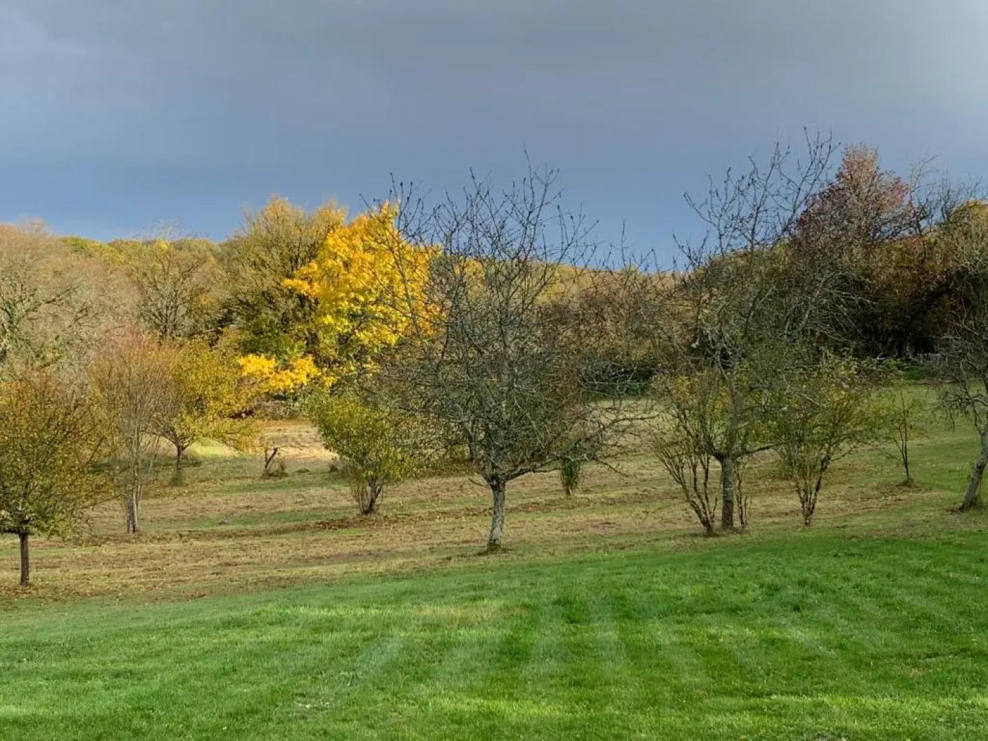 Le Domaine Du Gravier