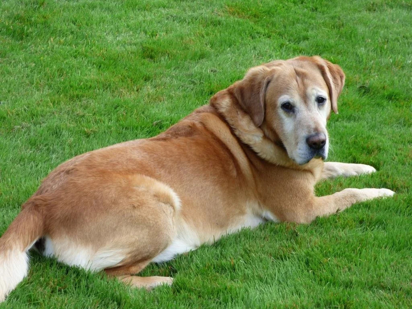 B&B Le Jardin dEpicure