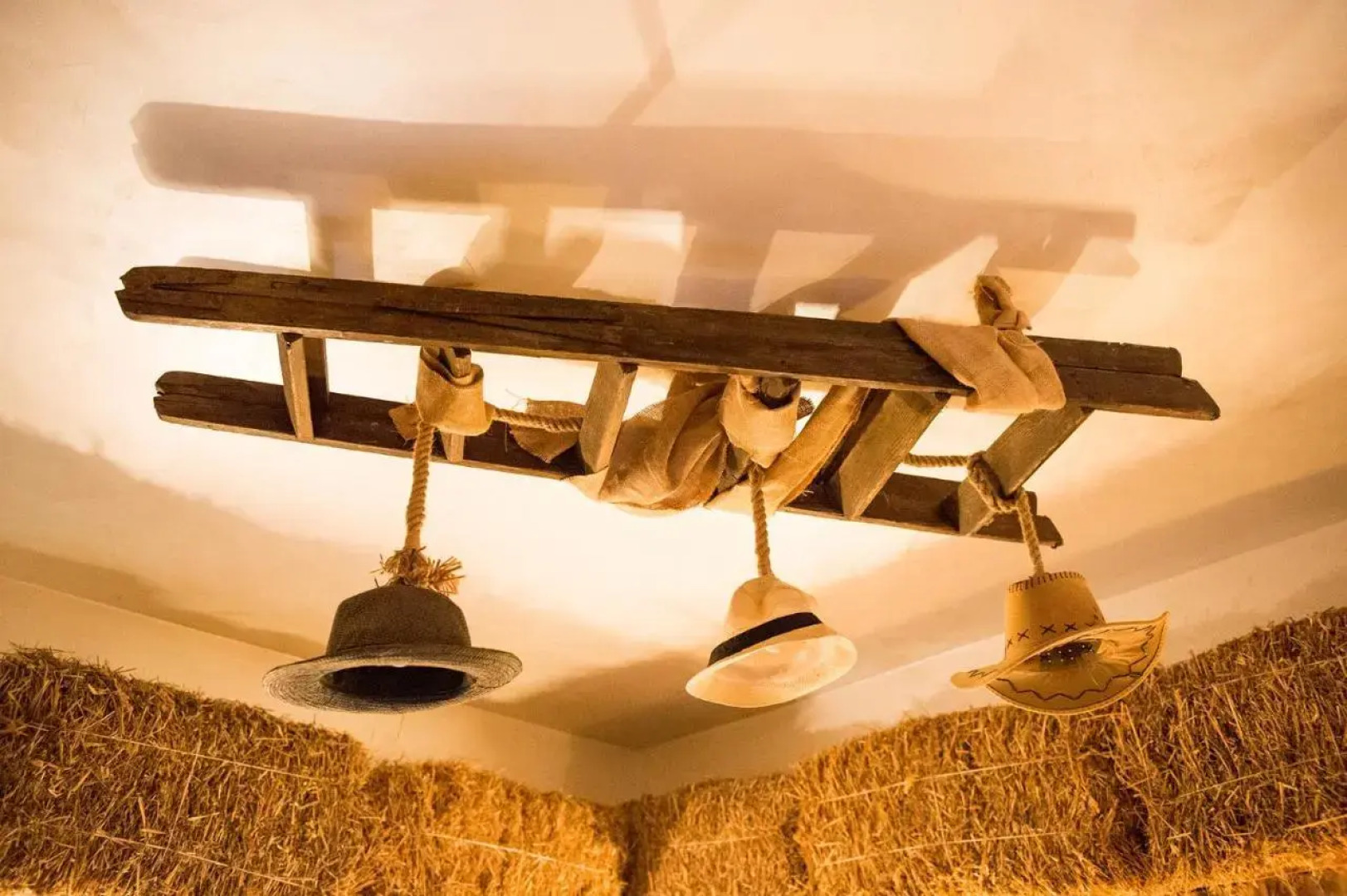 Re Dream Suite a Tema - Rapallo