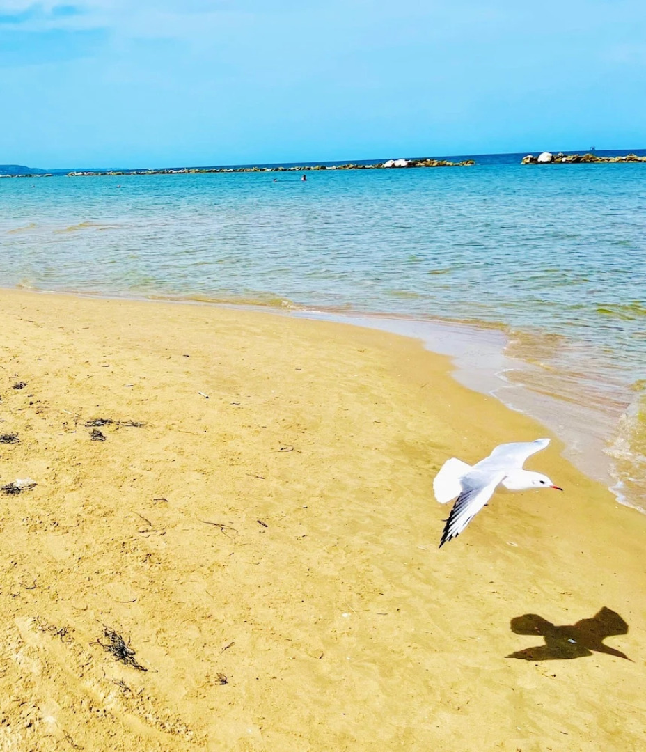 2-bed Apartment in Abruzzo, Italy 15 Minute to sea