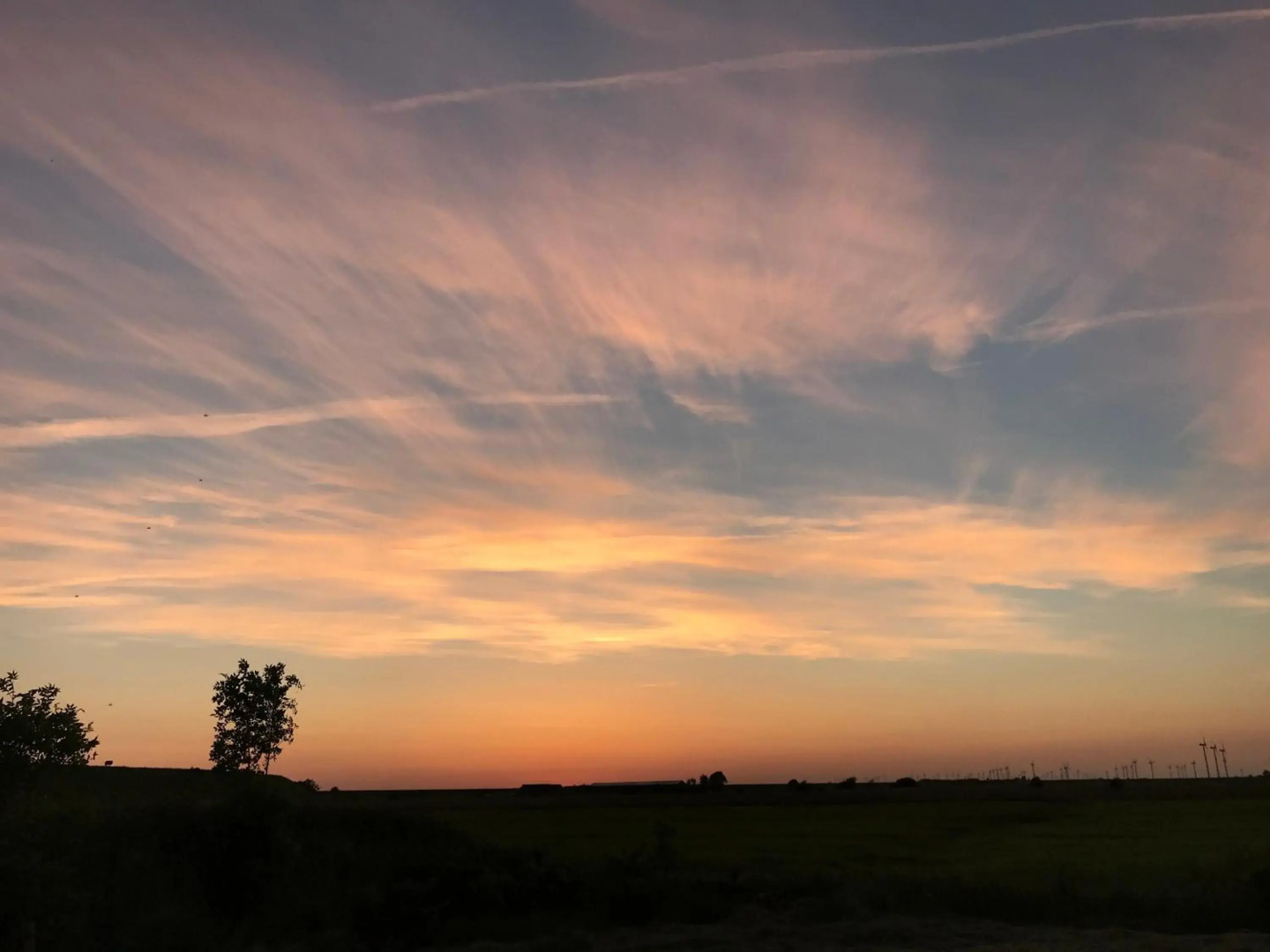 Ferienwohnung Diekblick - Kleiner Deichhof