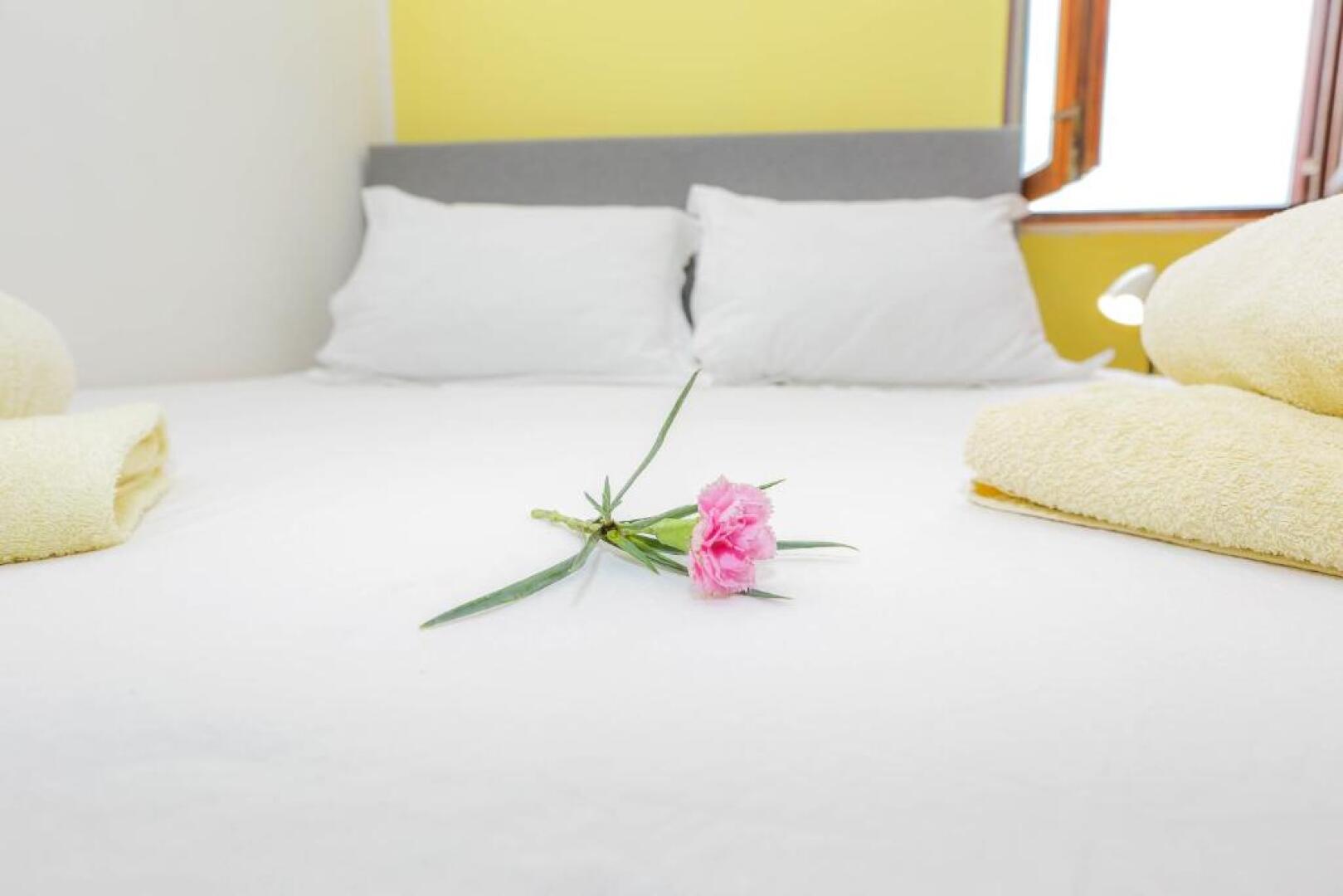 Apartments Maslina Božava