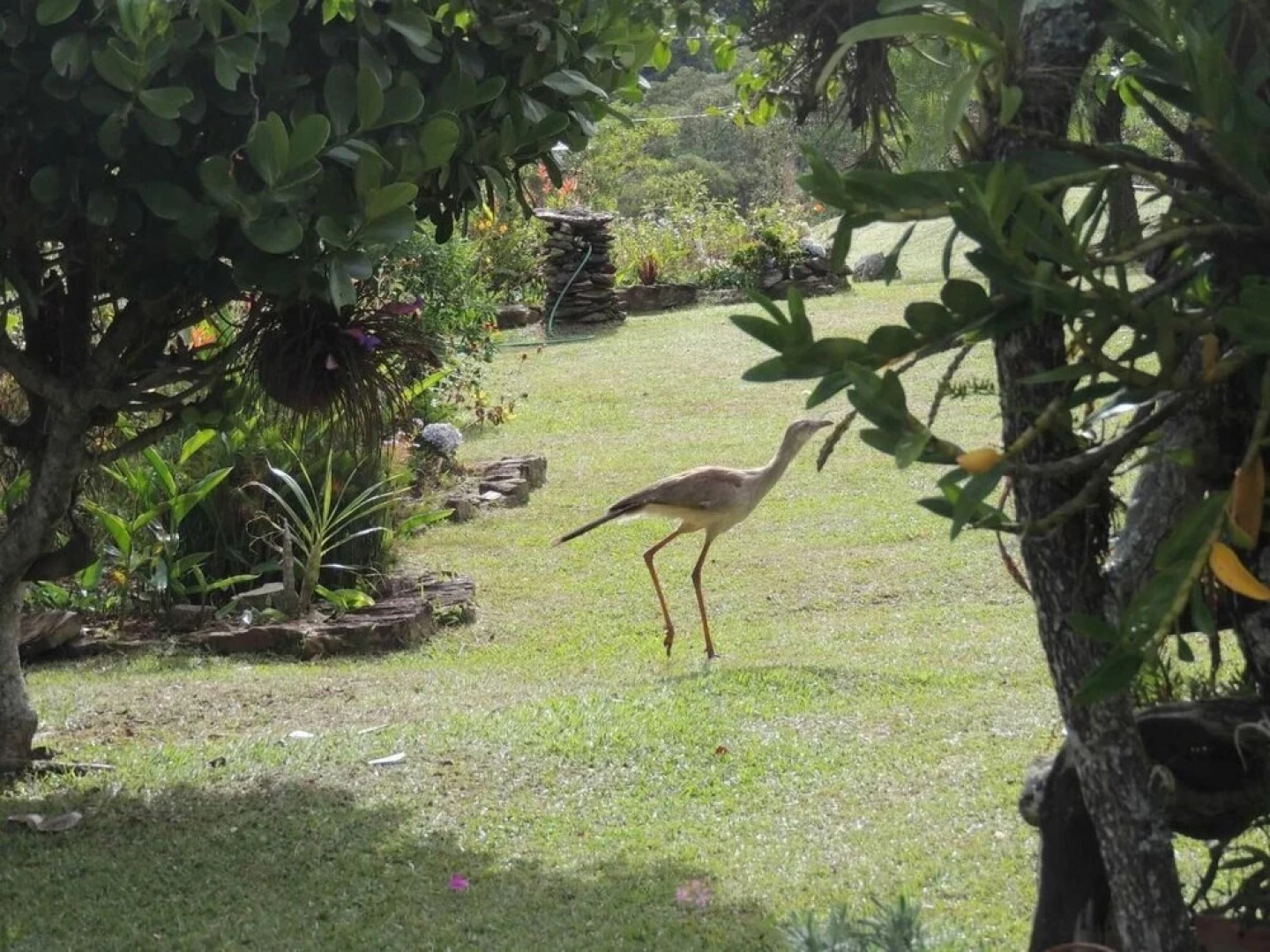 Pousada Sitio da Serra