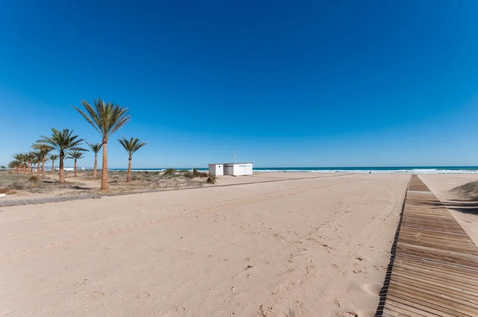 Alejandrita in Grau i Platja