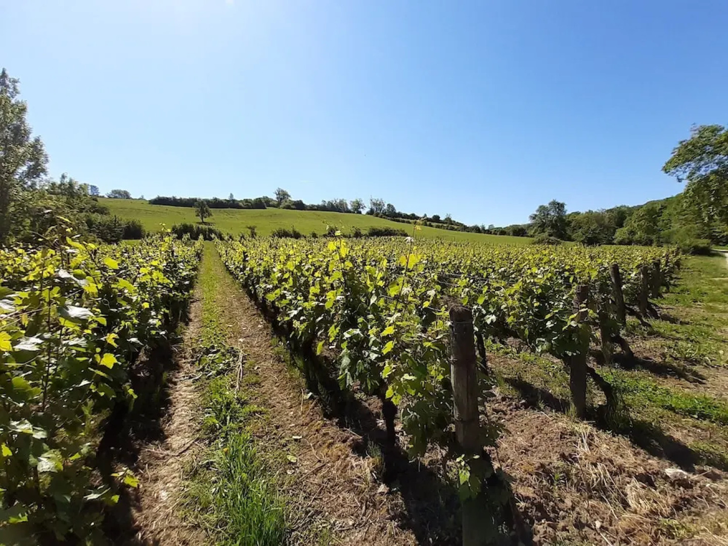 LES PRUNELLES Chambres d'hôtes & Spa