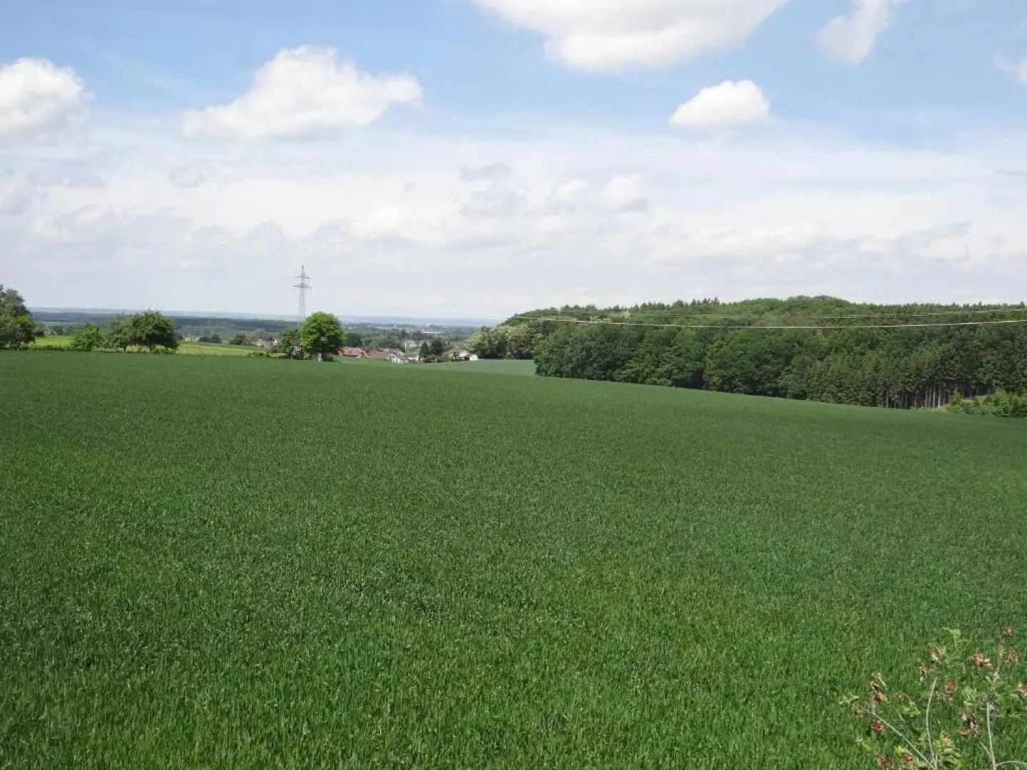 Ferienwohnung Ebersbach