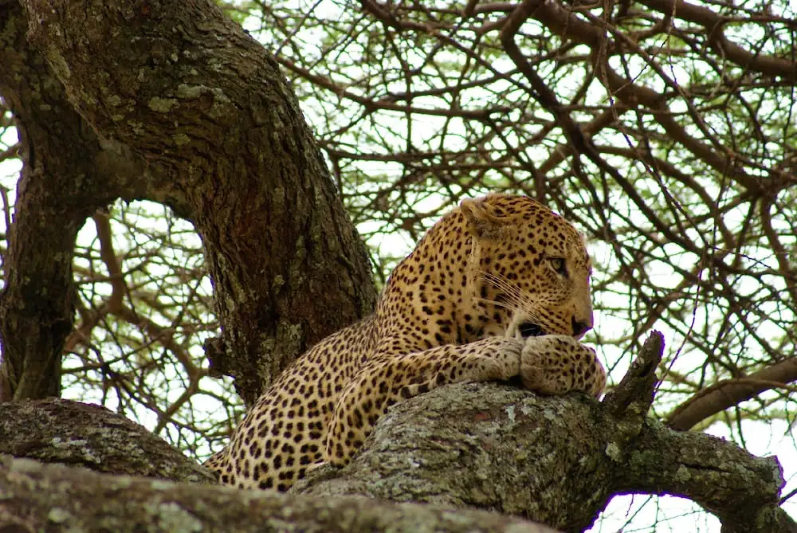 African Sunrise Lodge and Campsite