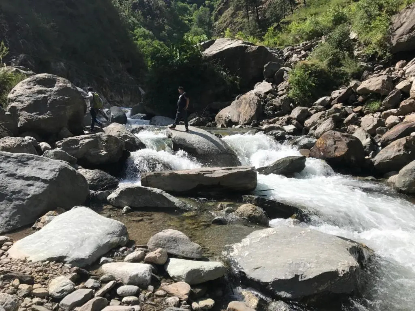 DreamLand Home stay (JALORI PASS)