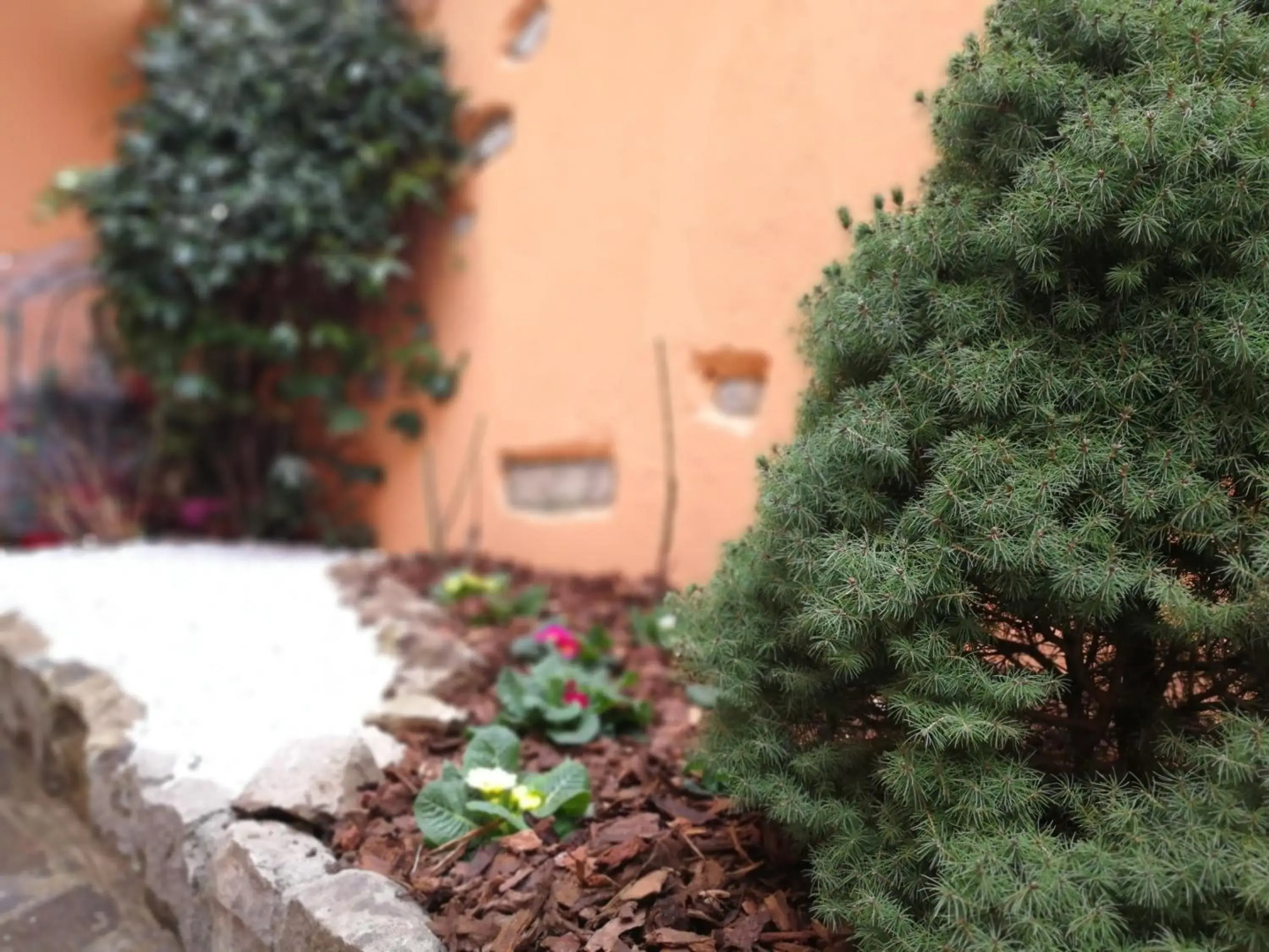 La Corte dell'Angelo