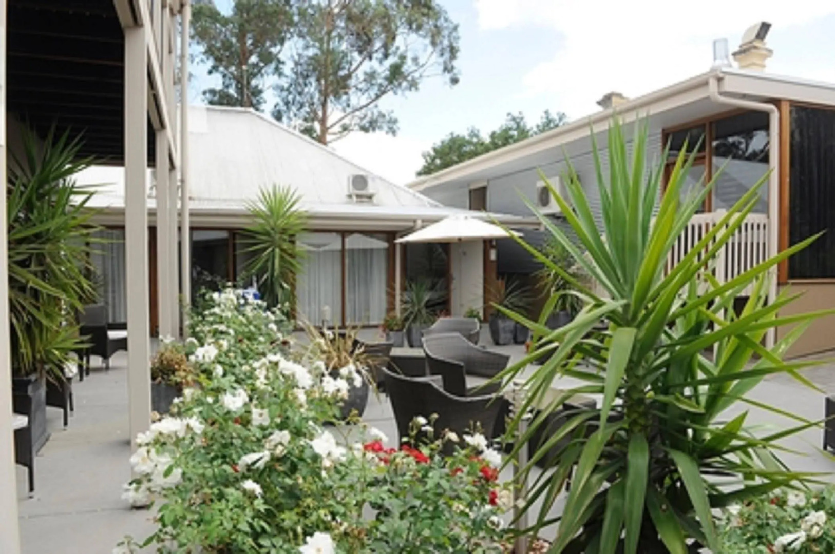 The Manna of Hahndorf