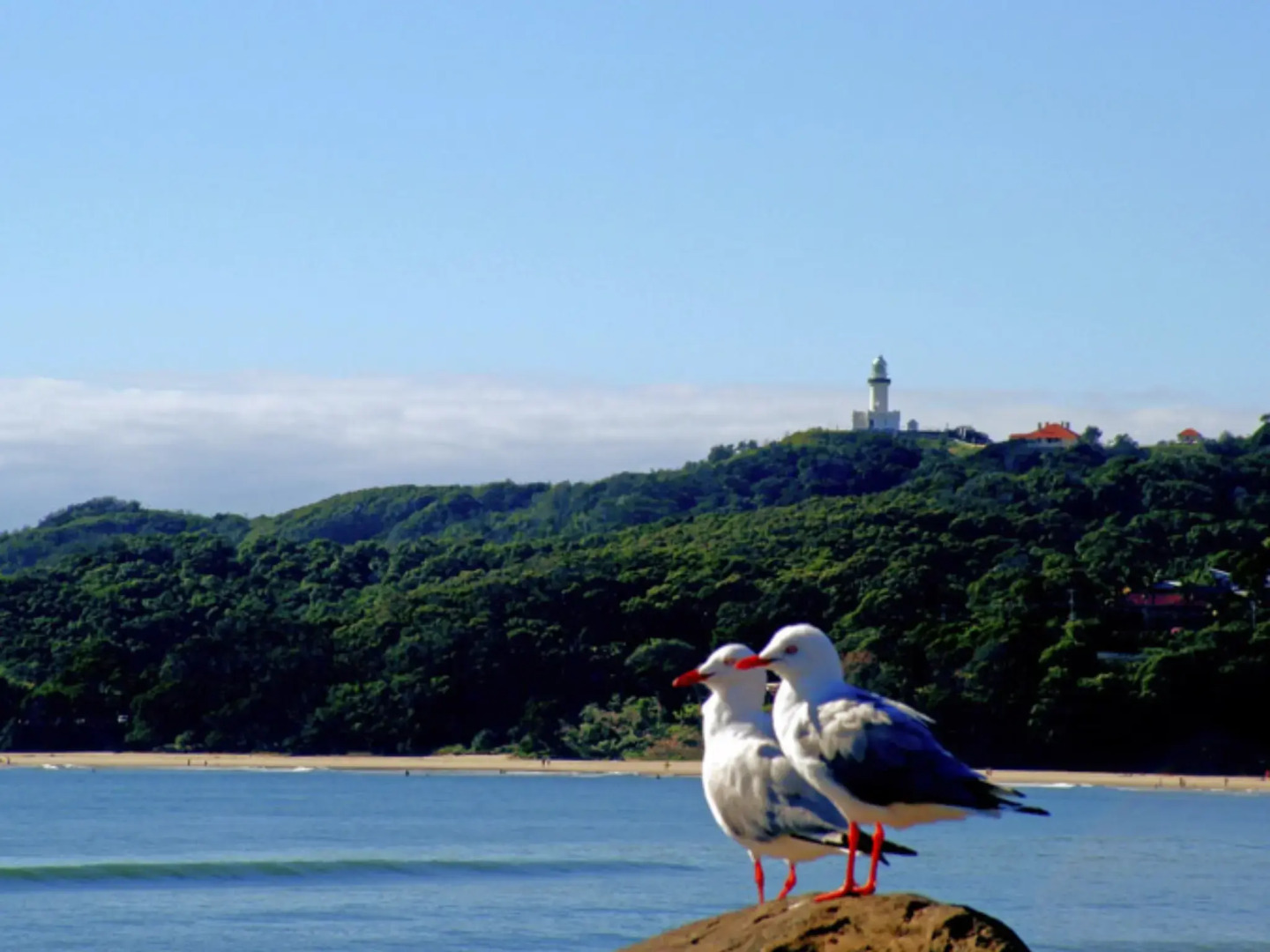 Byron BaySide Central Studio Apartments